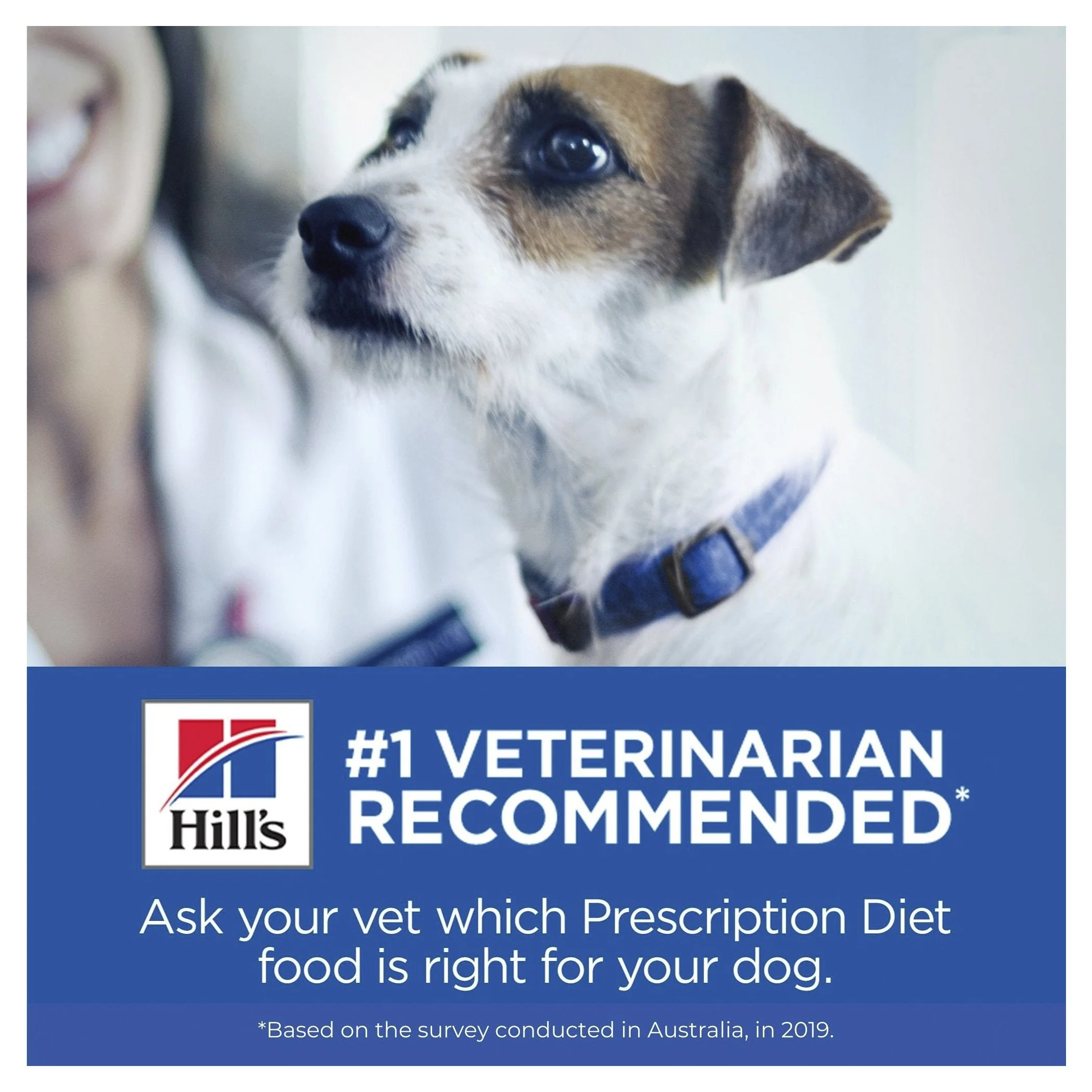 Hills Prescription Diet Dog i/d Low Fat Digestive Care Dry Food 3.85kg - Image 9