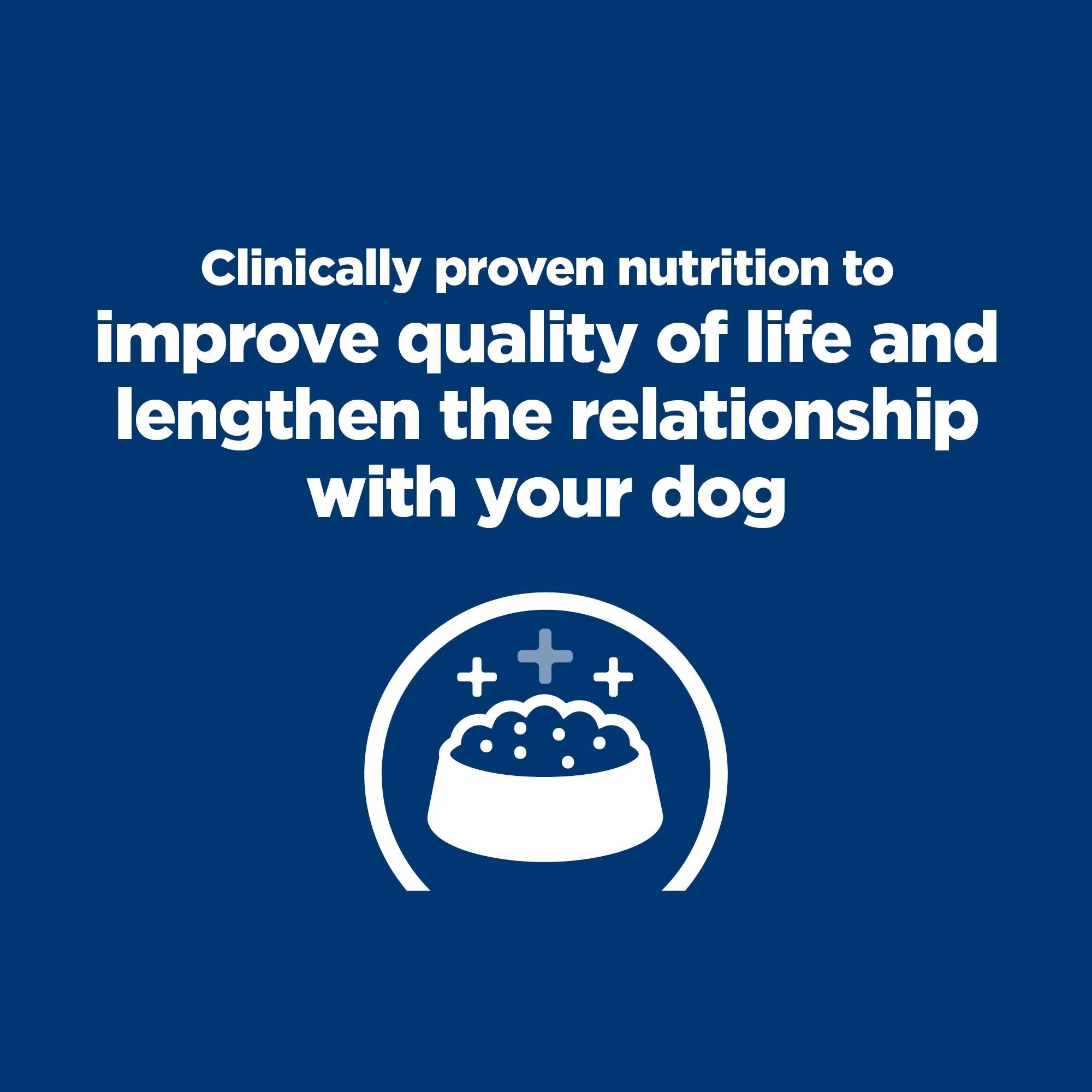 Hills Prescription Diet Dog k/d Kidney Care Chicken Wet Food 350g x 12 - Image 7