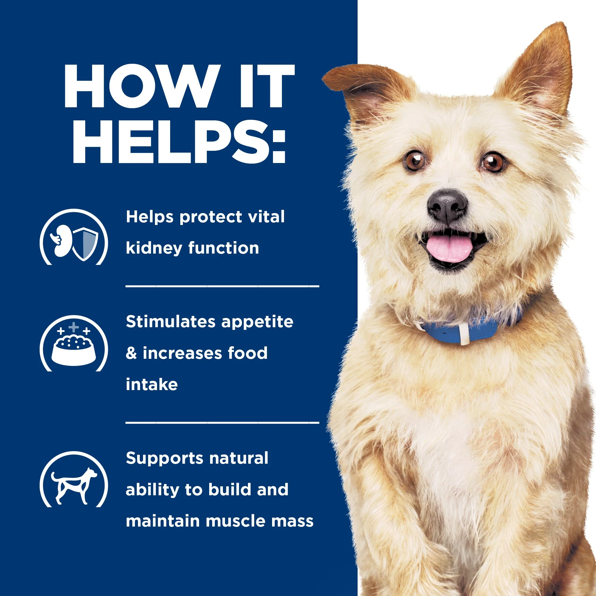 Hills Prescription Diet Dog k/d Kidney Care Dry Food 7.98kg - Image 5