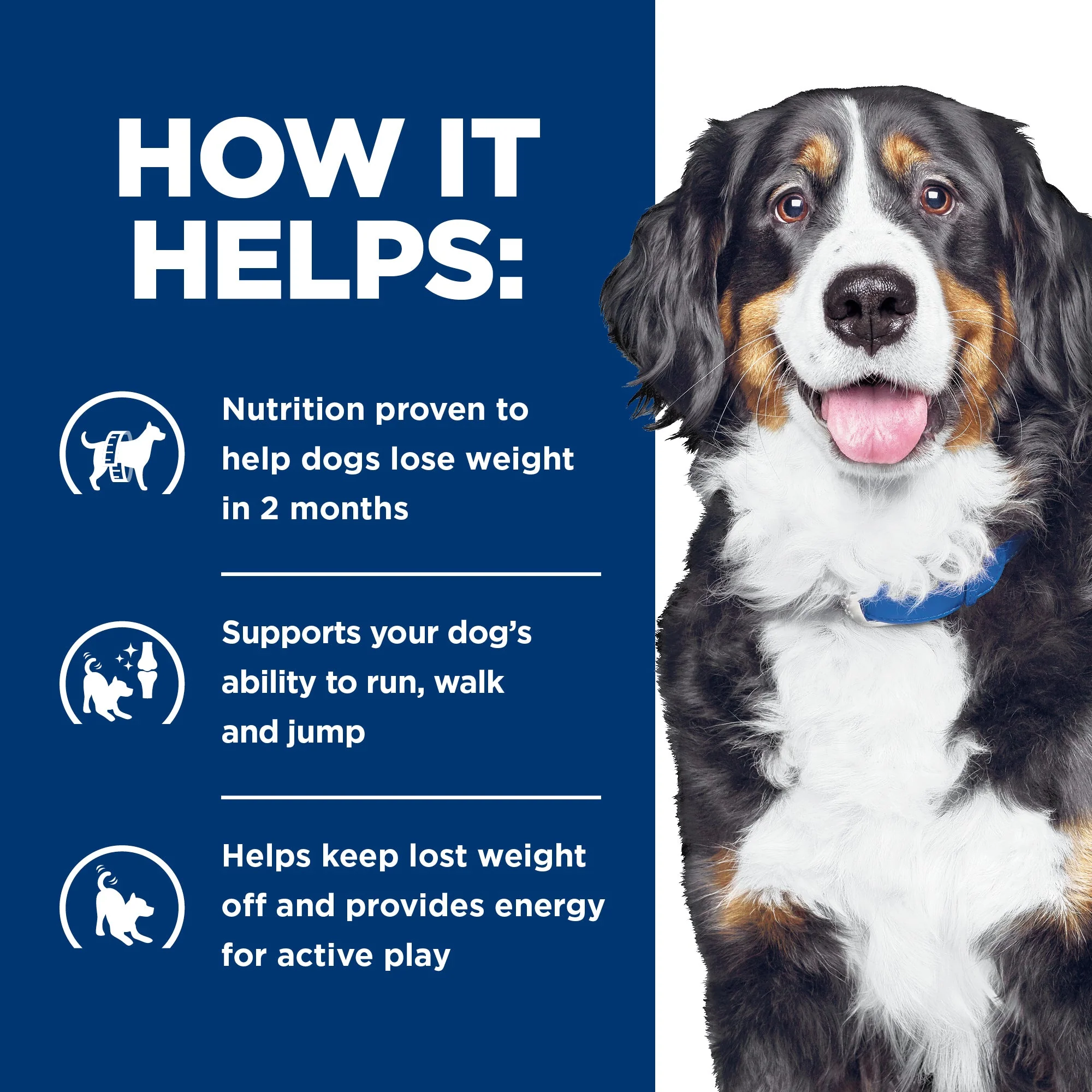 Hills Prescription Diet Dog Metabolic Weight + j/d Mobility Care Dry Food 10.8kg - Image 5