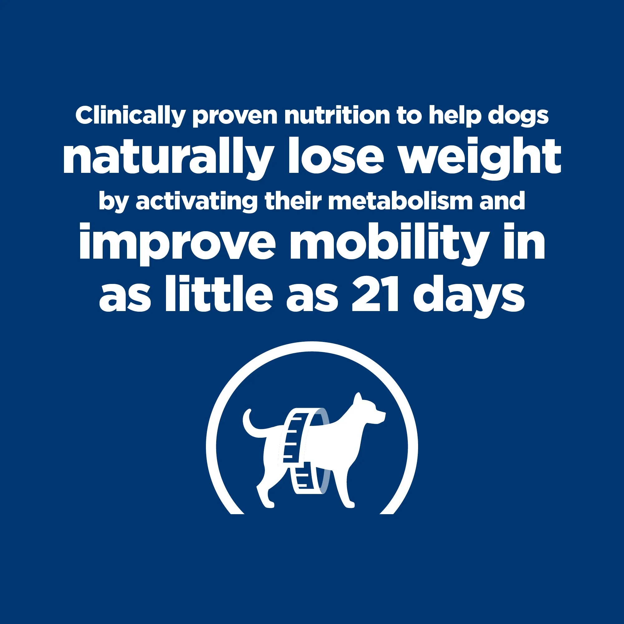 Hills Prescription Diet Dog Metabolic Weight + j/d Mobility Care Dry Food 10.8kg - Image 6