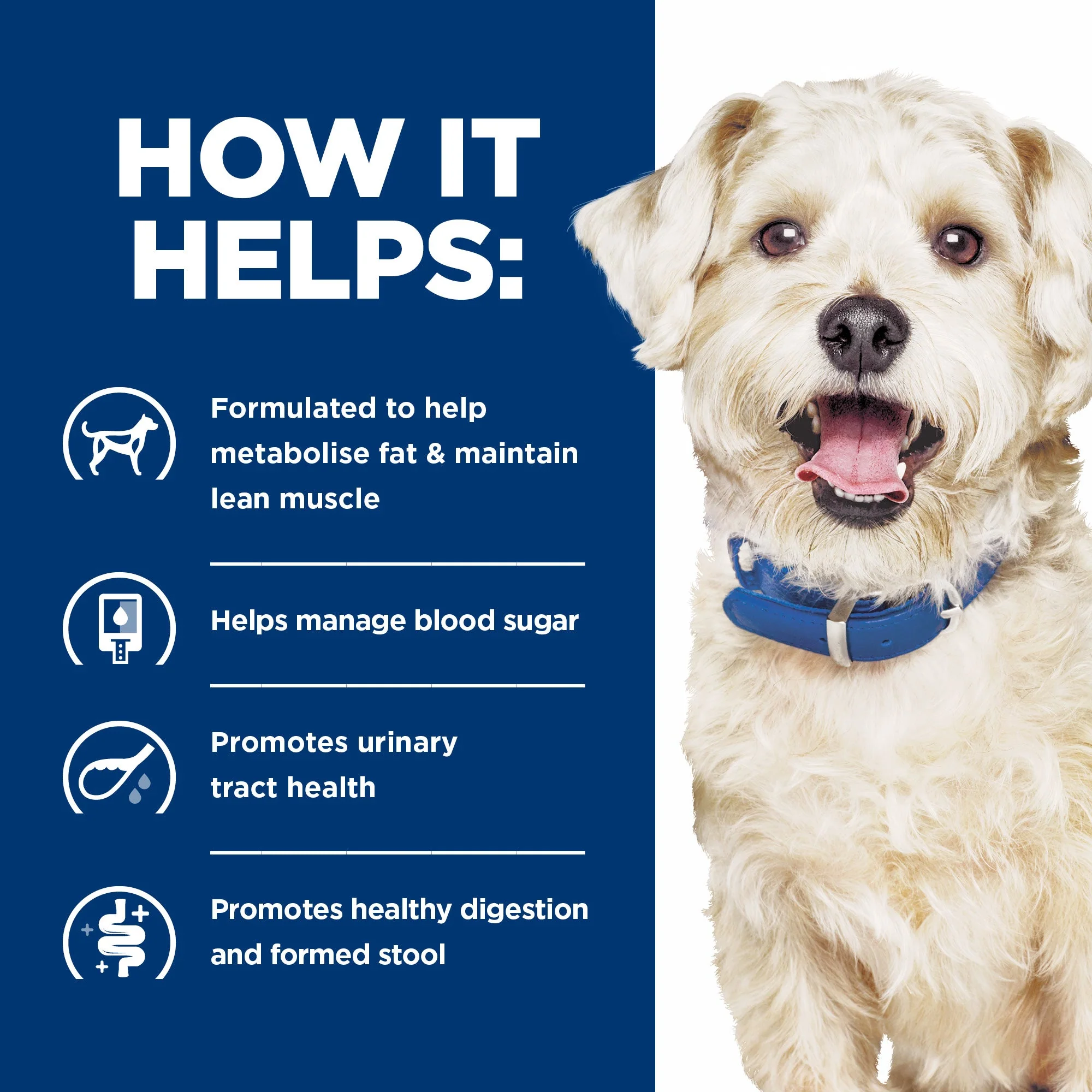 Hills Prescription Diet Dog w/d Multi-Benefit Dry Food 12.5kg - Image 5