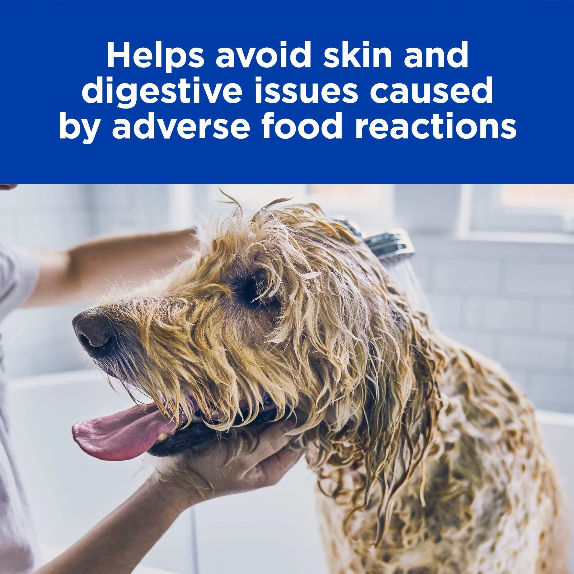 Hills Prescription Diet Dog z/d Skin/Food Sensitivities Dry Food 3.6kg - Image 3