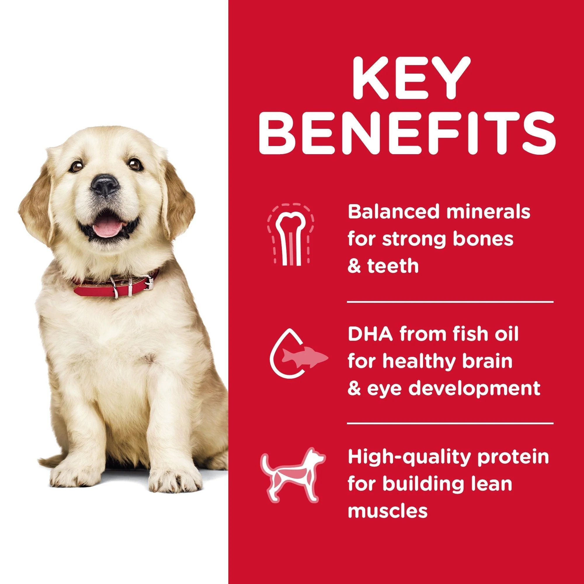 Hills Science Diet Puppy Large Breed Dry Dog Food 12kg - Image 3
