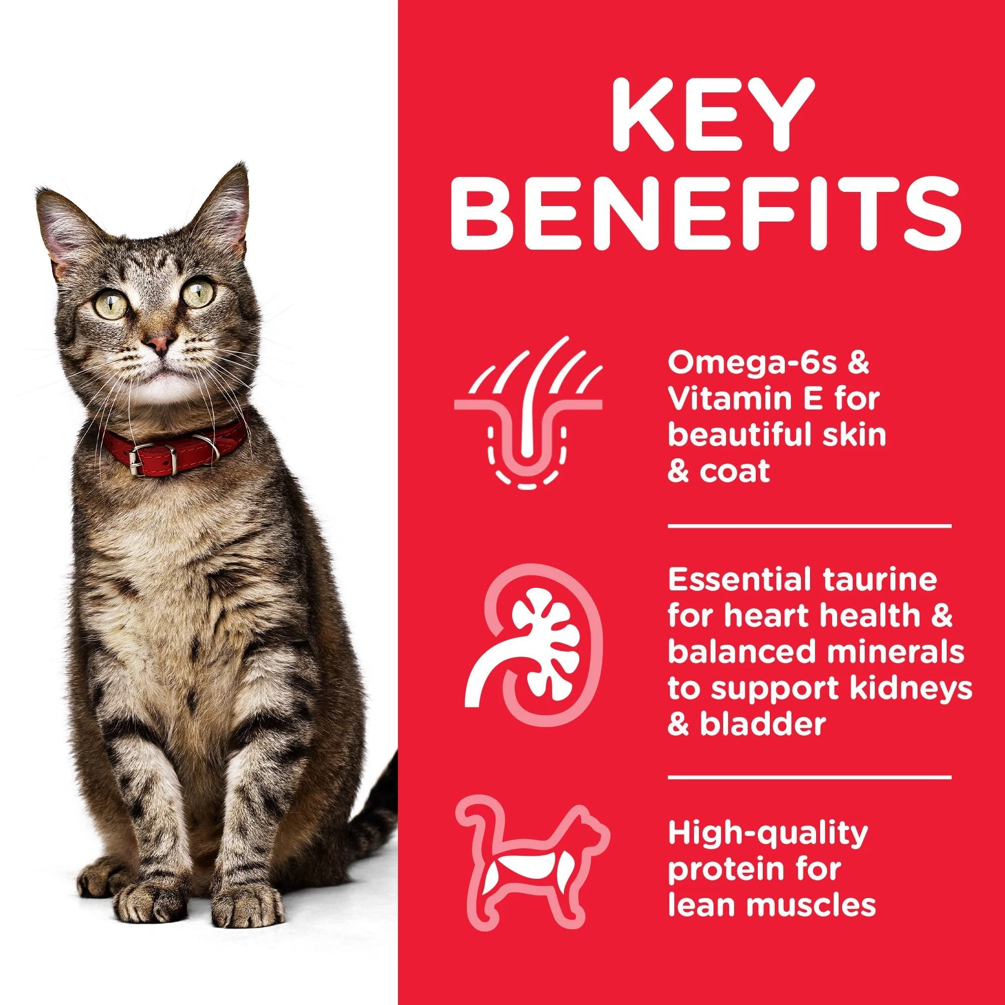 Hills Science Diet Adult Optimal Care Beef Cat Food Pouches 85g x 12 - Image 5
