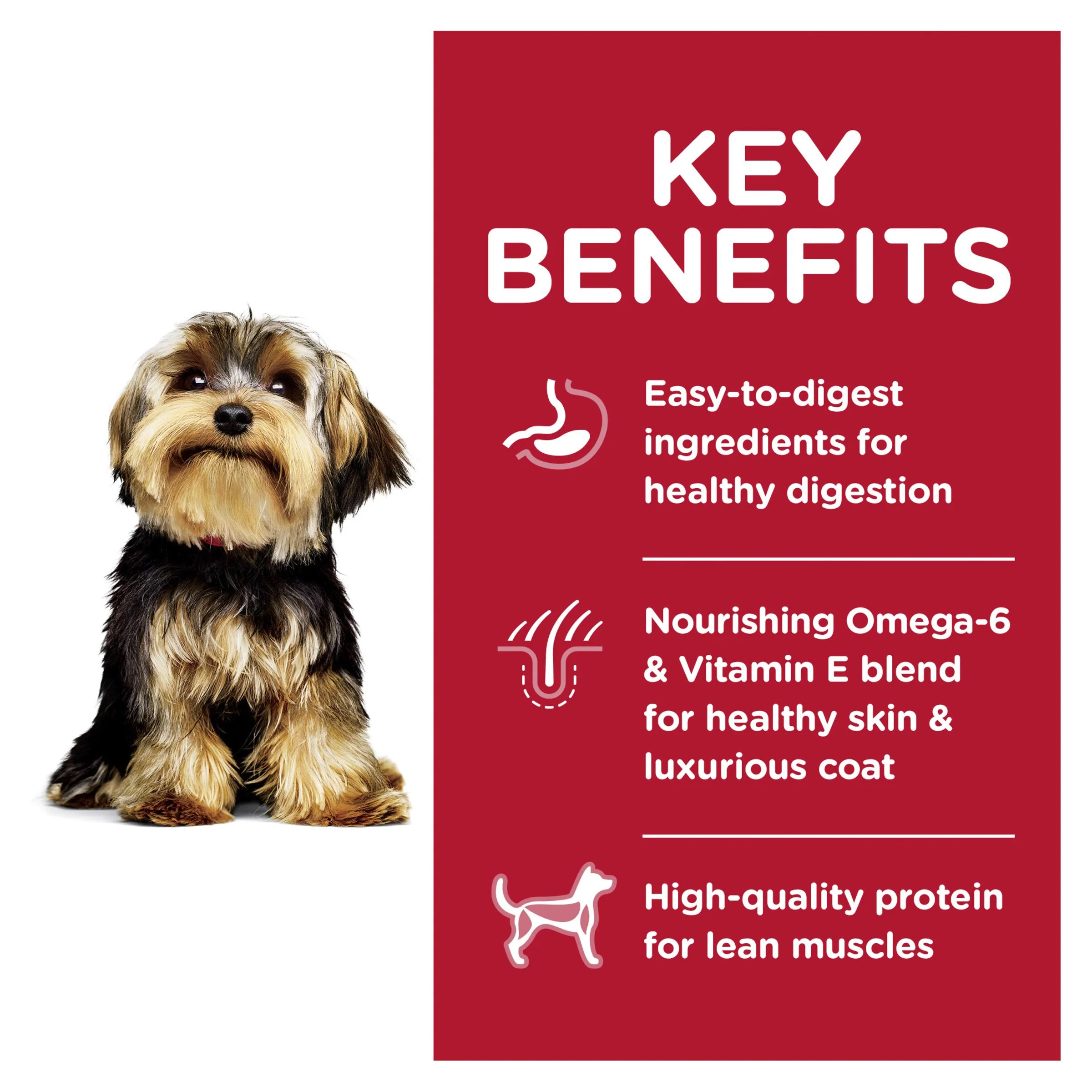Hills Science Diet Small Paws Lamb and Rice Dry Dog Food 2.04kg - Image 3