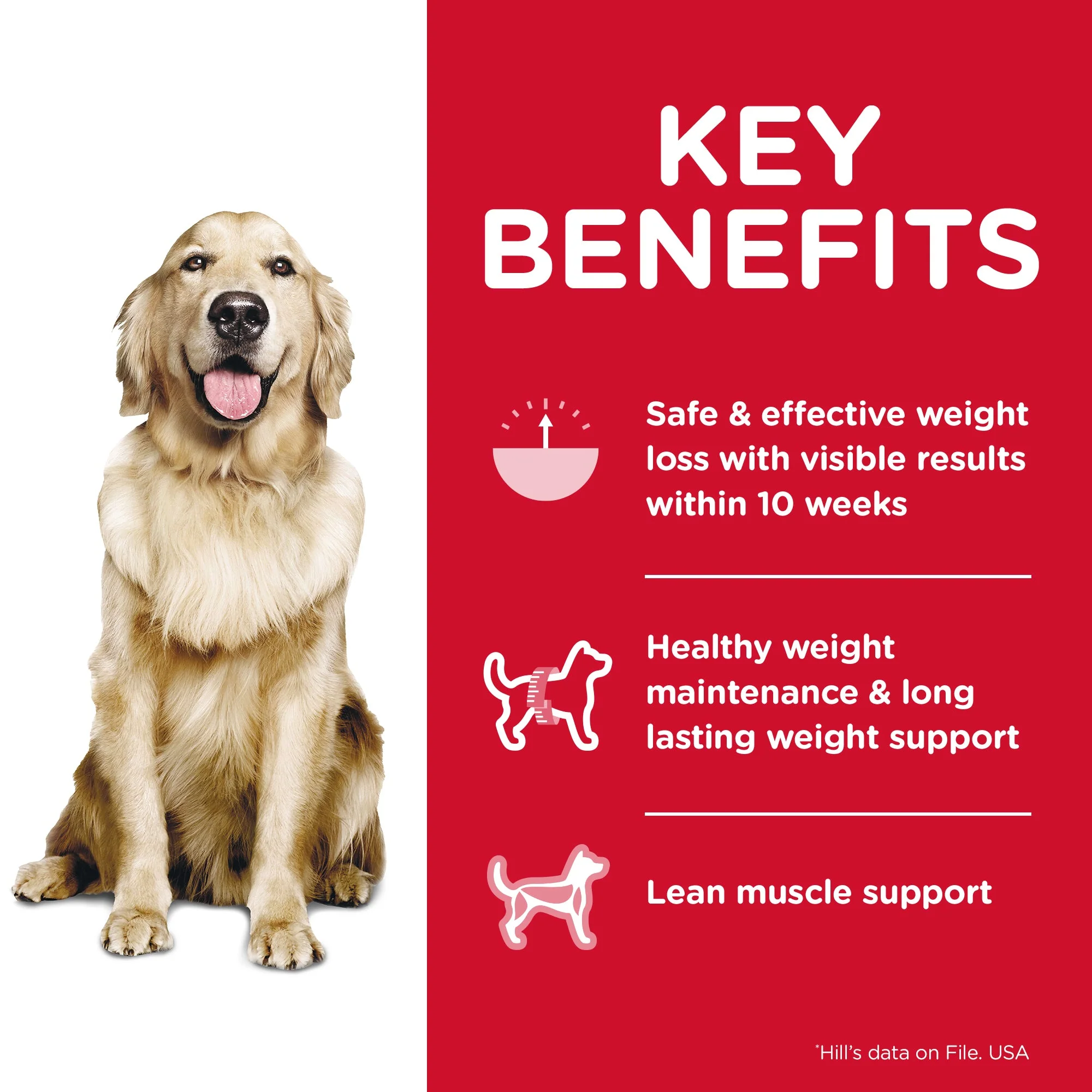 Hills Science Diet Perfect Weight Adult Dry Dog Food 11.34kg - Image 4