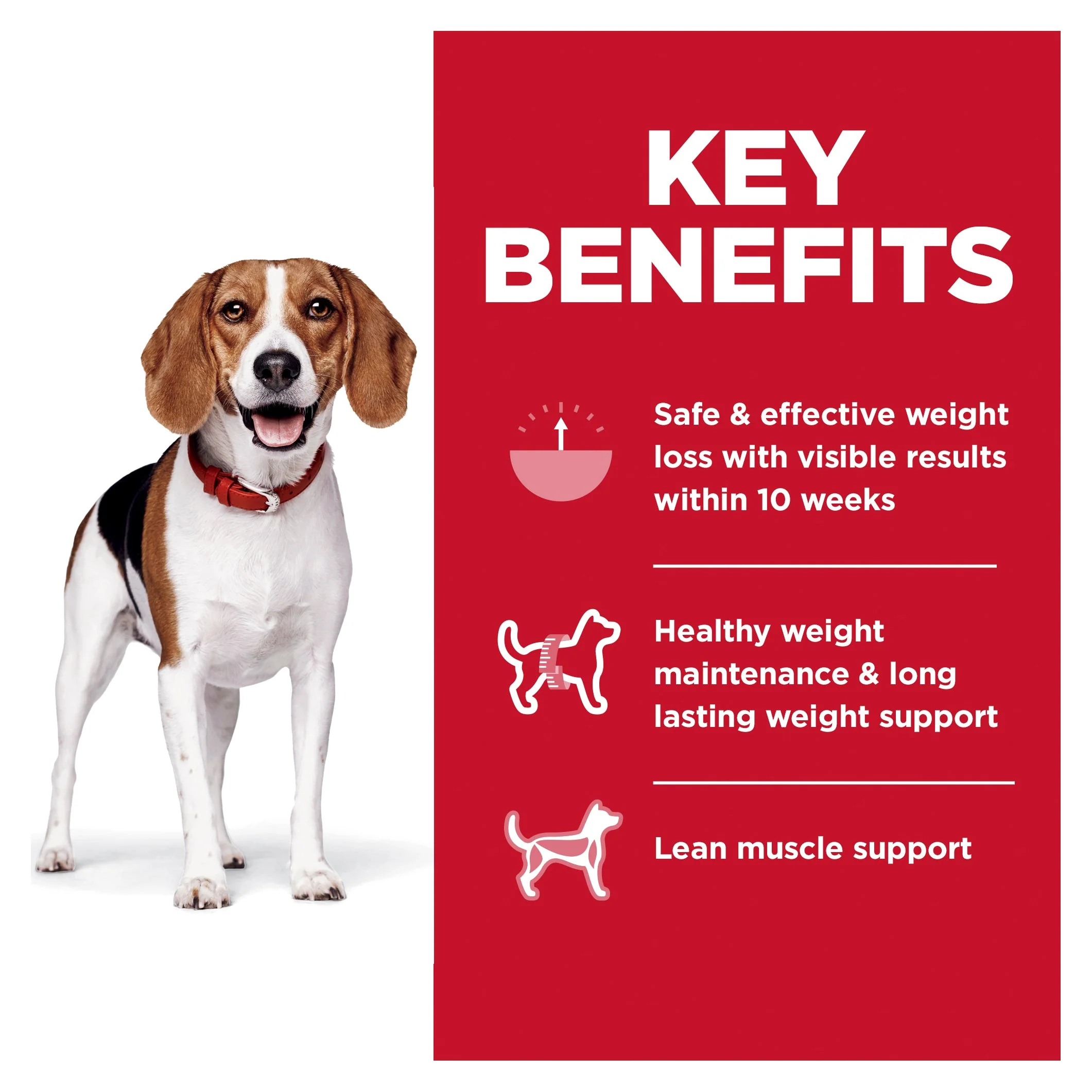 Hills Science Diet Perfect Weight Small Bites Adult Dog Dry Food 5.44kg - Image 4