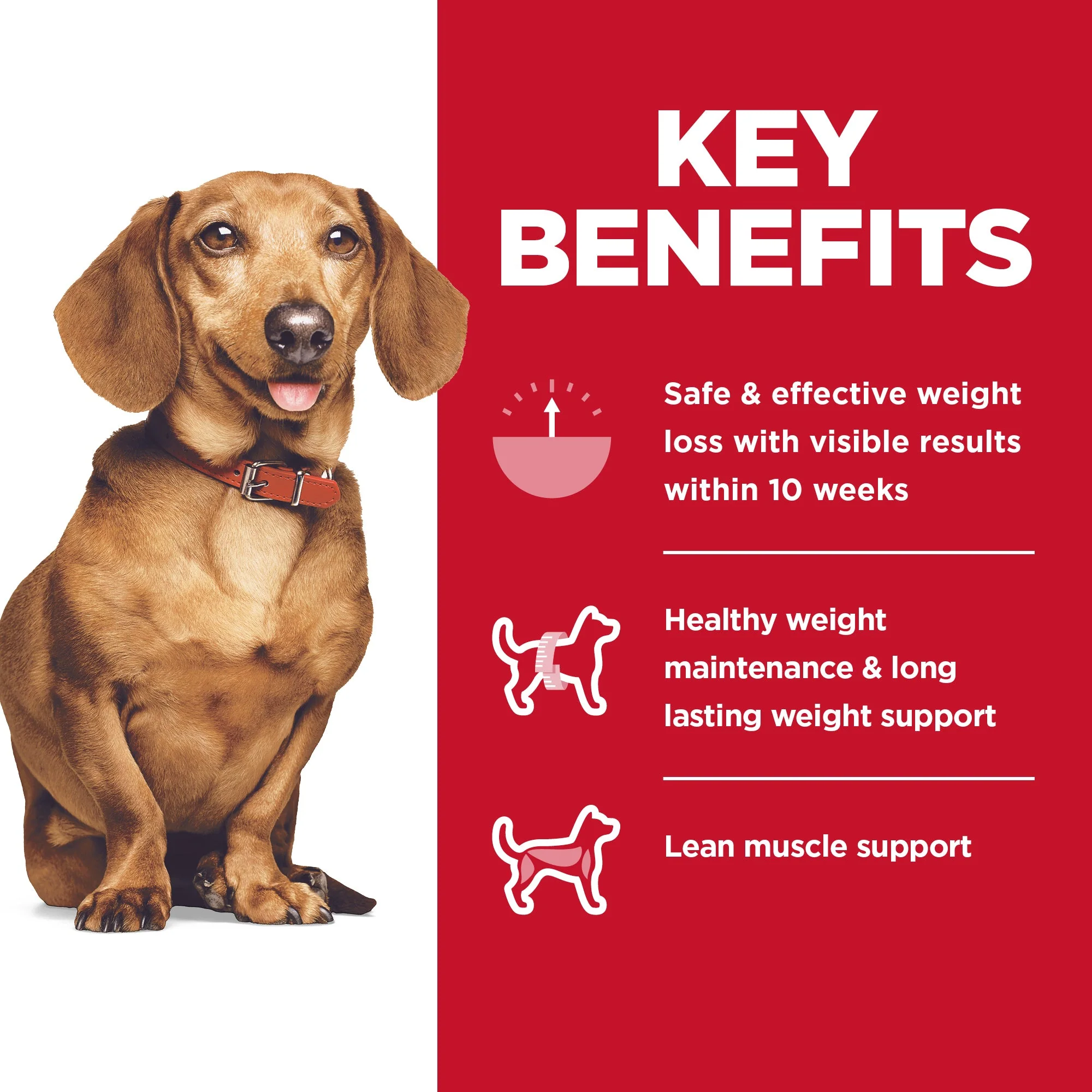 Hills Science Diet Perfect Weight Small and Mini Adult Dog Dry Food 5.67kg - Image 4
