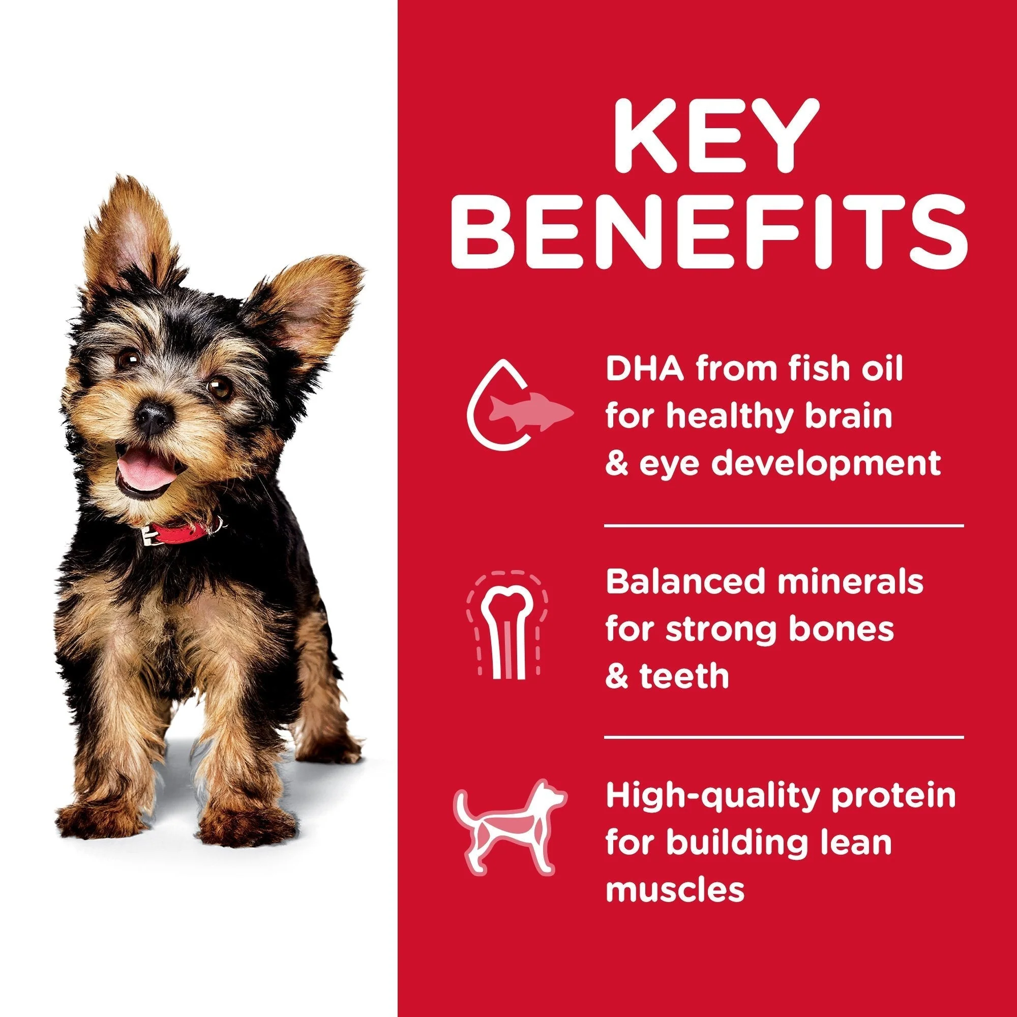 Hills Science Diet Puppy Small Paws Dry Dog Food 1.5kg - Image 3
