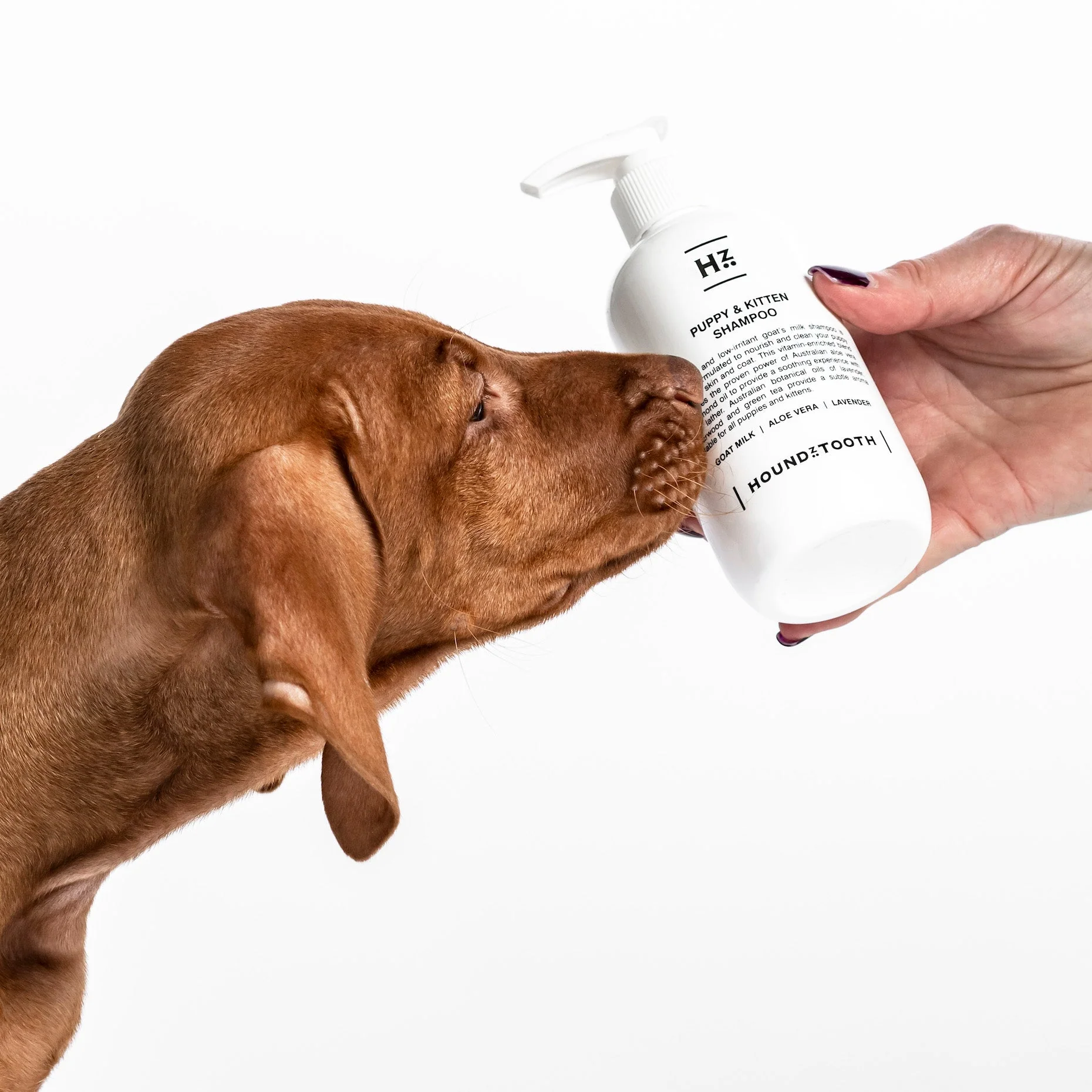 Houndztooth Puppy and Kitten Goat Milk Shampoo 250ml - Image 3