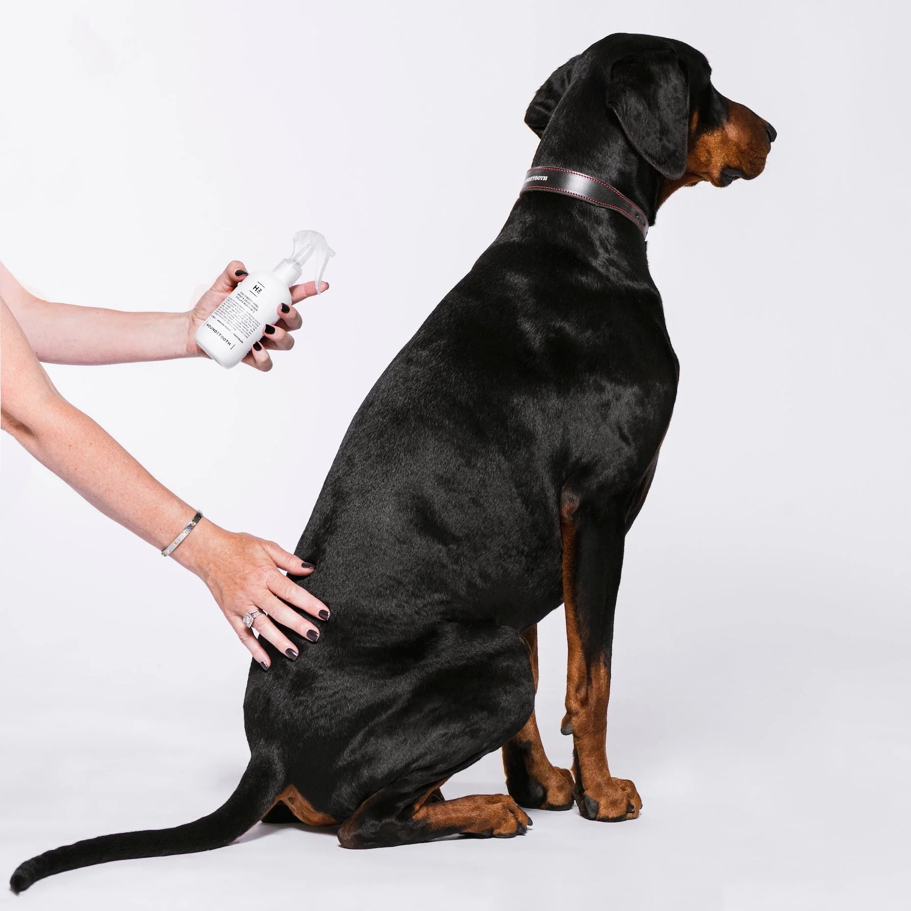 Houndztooth Stellas Blend No.2 Goat Milk Conditioning and Deodoriser Spray 250ml - Image 3