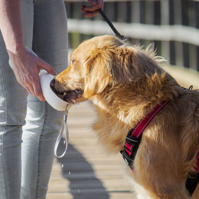 Huskimo Water Bottle with Food Storage 380ml - Image 4