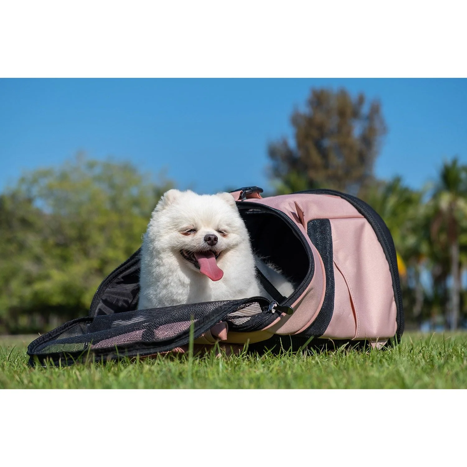 Ibiyaya Ultralight Pro Coral Pink Backpack Pet Carrier - Image 10