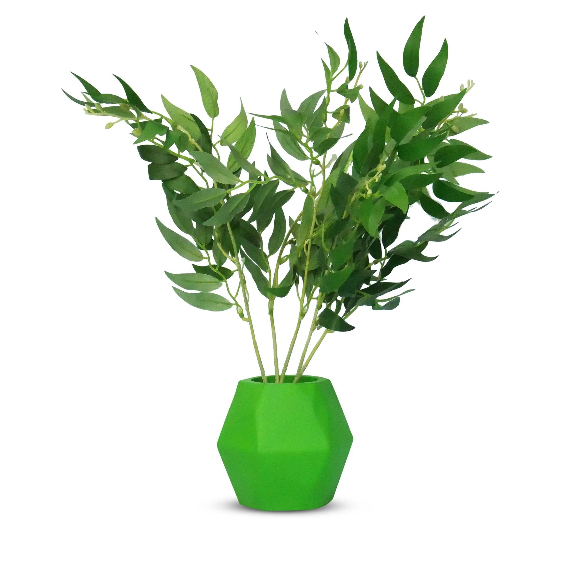 Insectimo Stick Insect Branch Jar - Image 4