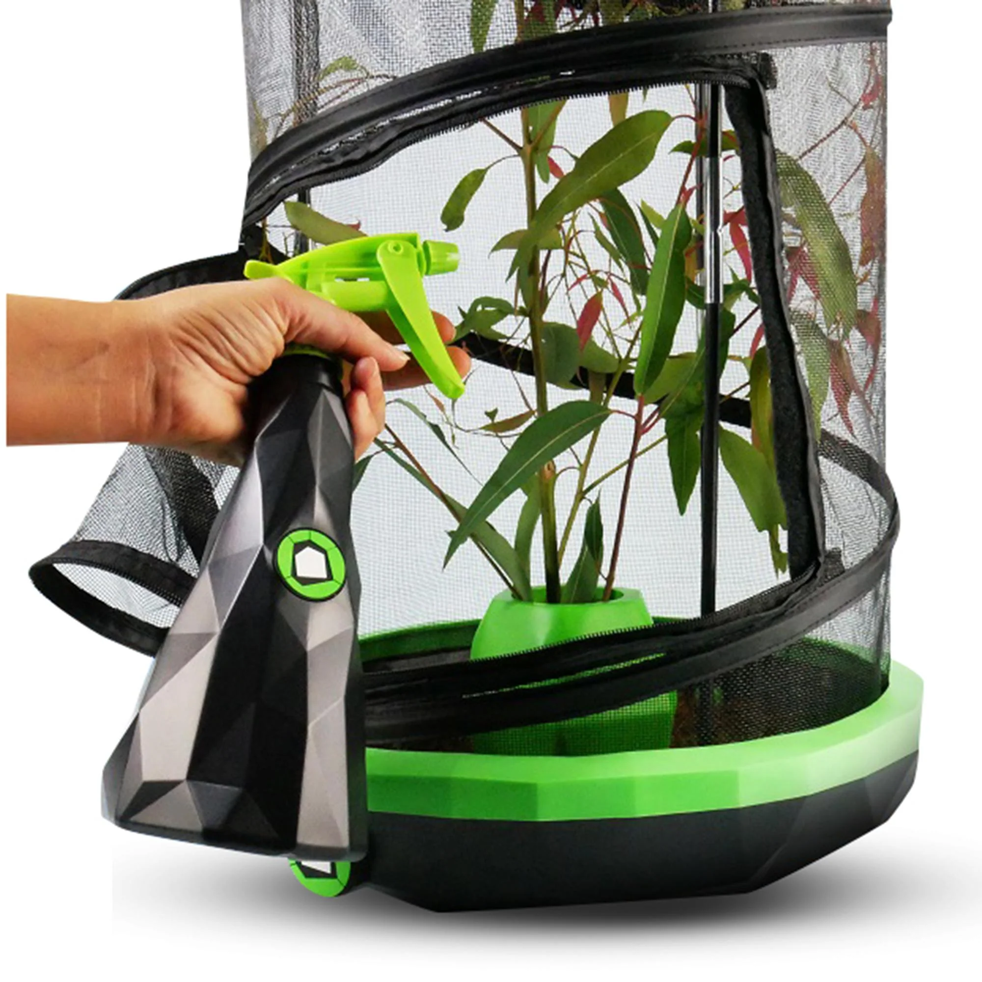 Insectimo Stick Insect Mister - Image 3