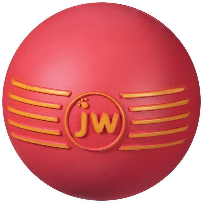 JW iSqueak Ball Medium Dog Toy - Image 2
