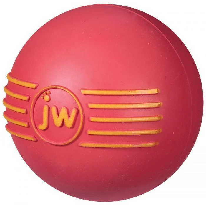JW iSqueak Ball Medium Dog Toy - Image 3