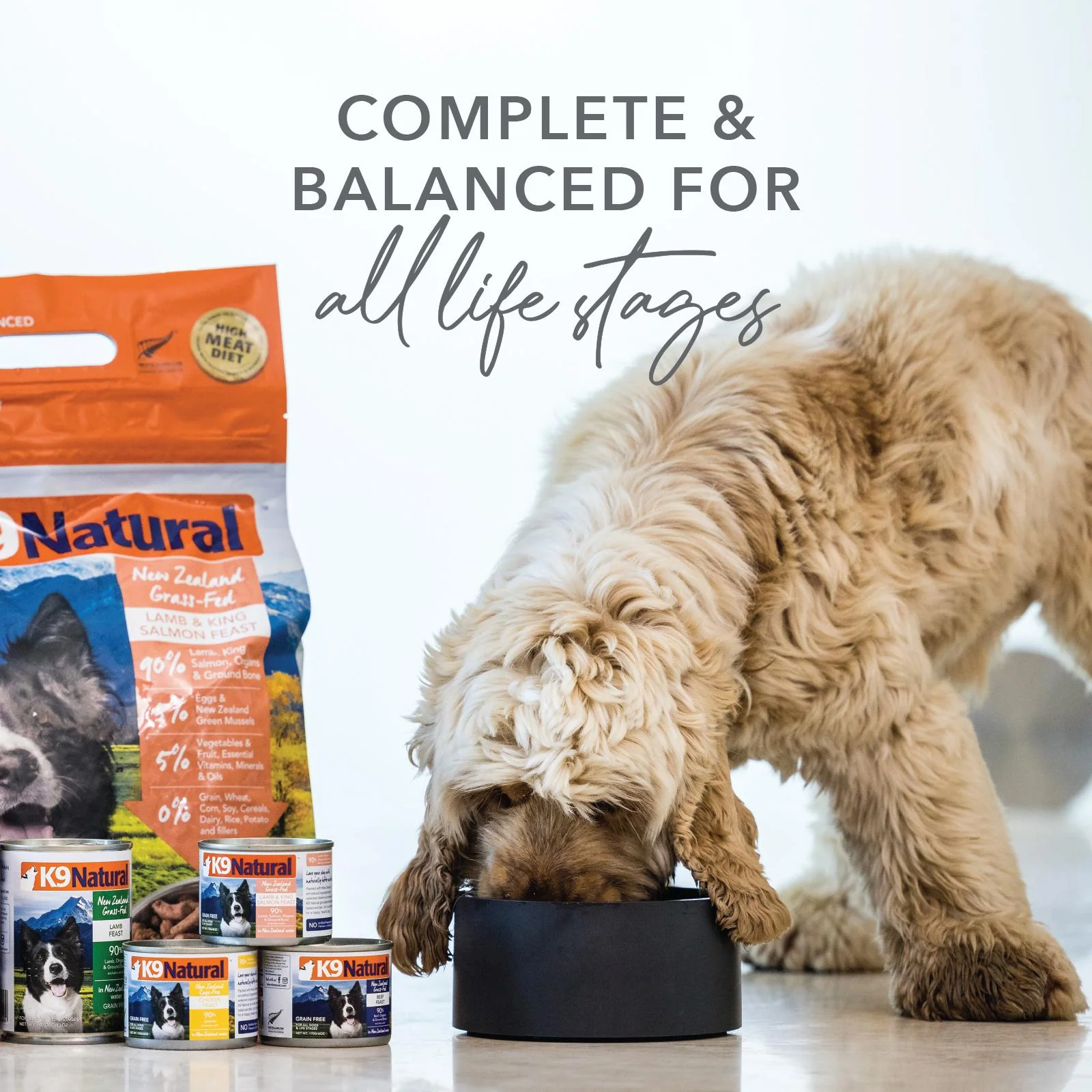 K9 Natural Chicken Feast Wet Dog Food 170g x 12 - Image 8