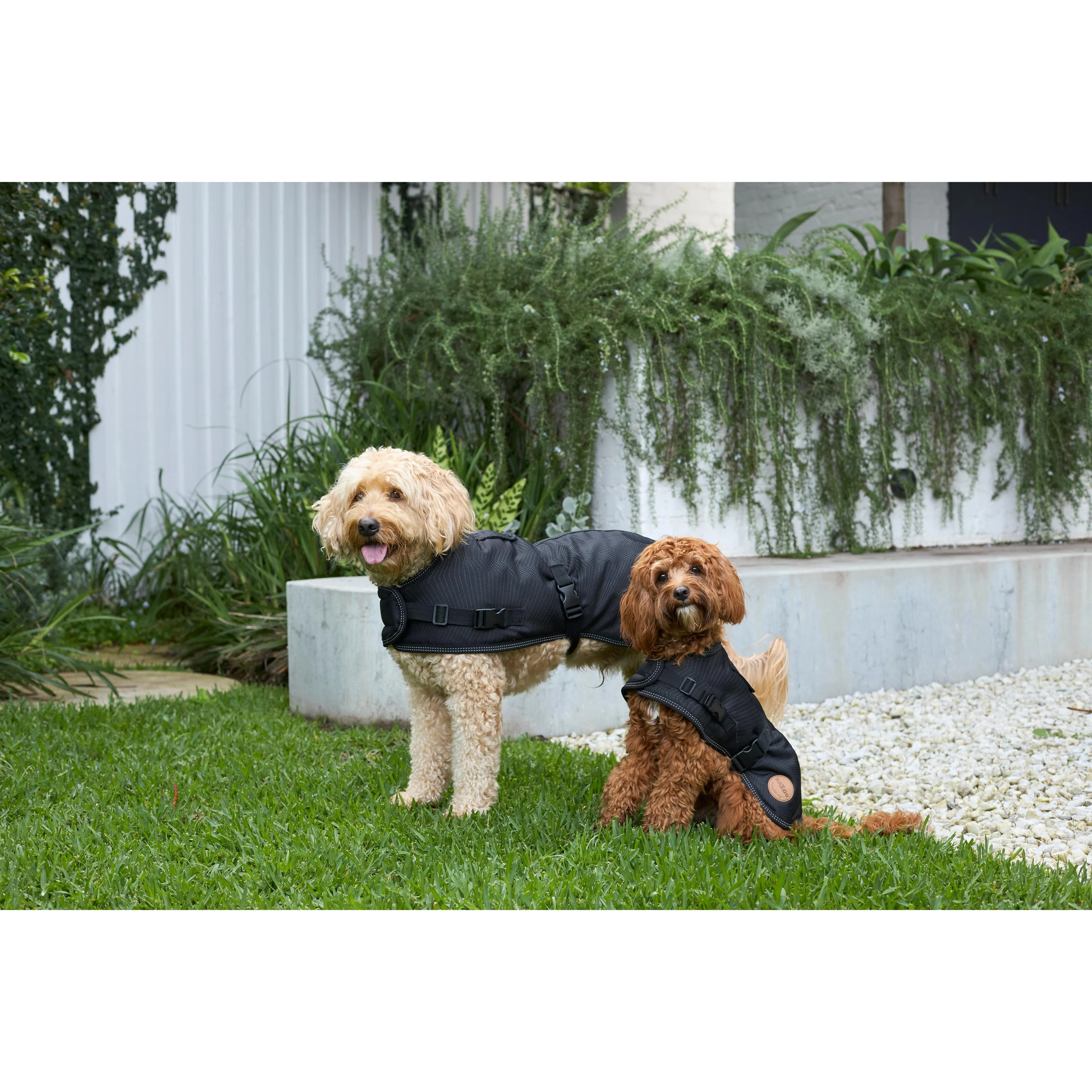 Kazoo Apparel Adventure Coat with Harness Hatch Black Extra Extra Small - Image 5