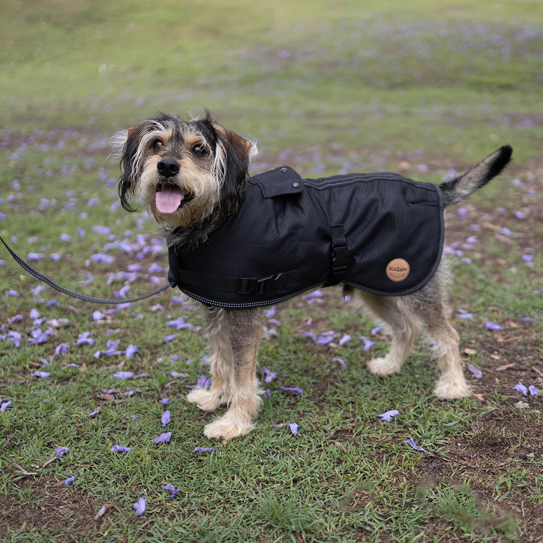 Kazoo Apparel Adventure Coat with Harness Hatch Black Extra Large - Image 4