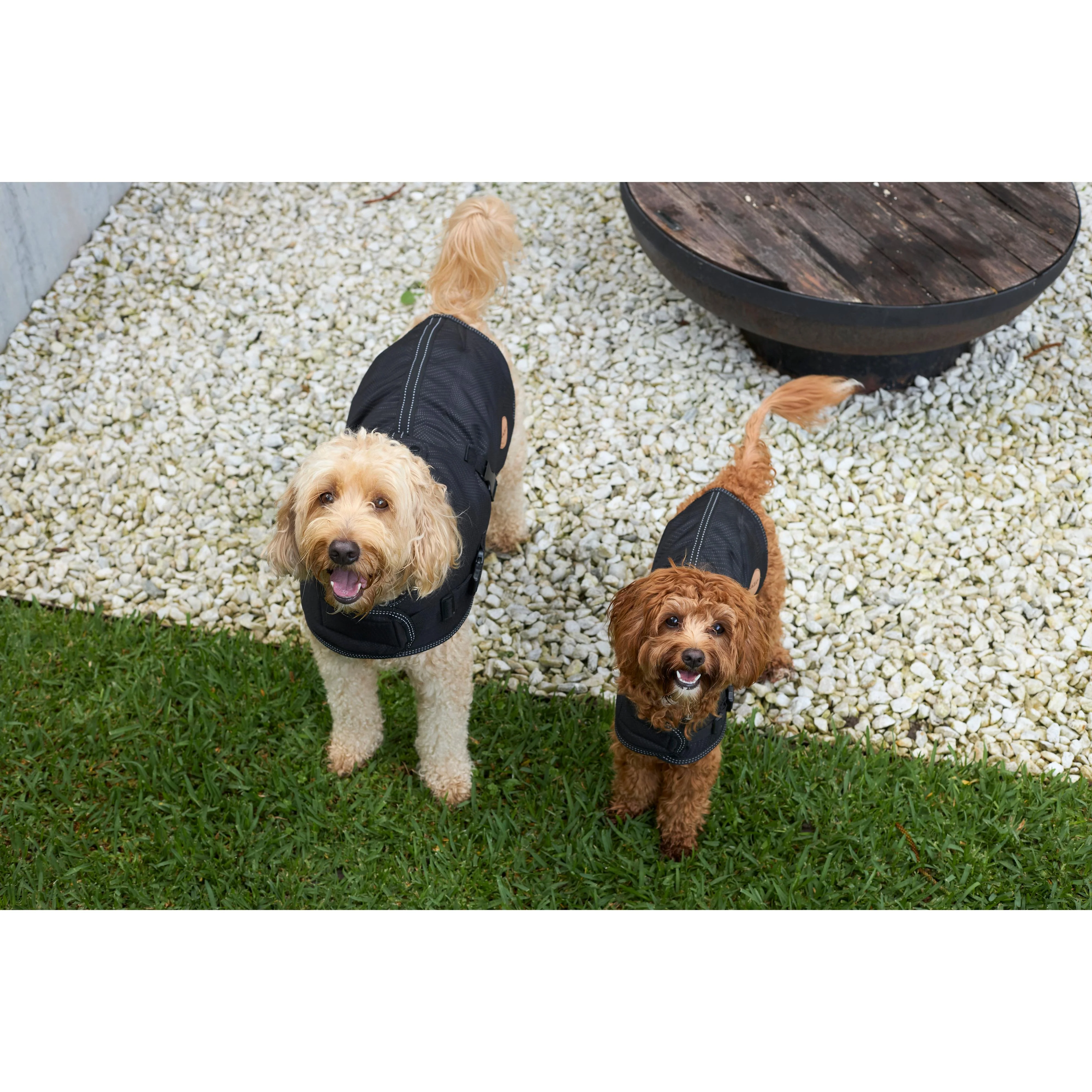 Kazoo Apparel Adventure Coat with Harness Hatch Black Extra Small - Image 5