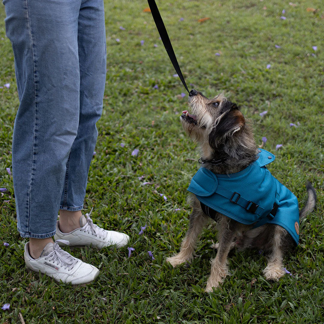 Kazoo Apparel Adventure Coat with Harness Hatch Blue Extra Small 33.5cm - Image 4