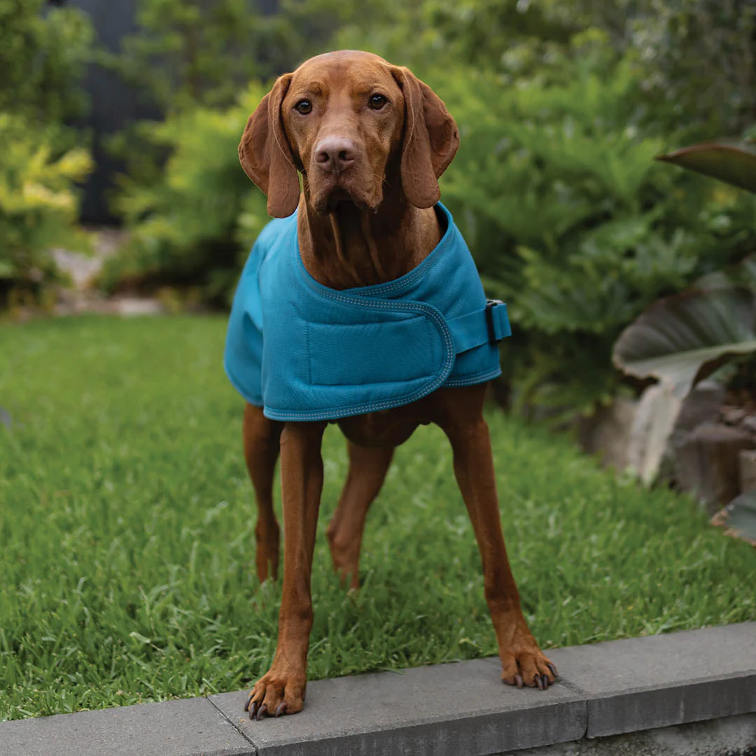 Kazoo Apparel Adventure Coat with Harness Hatch Blue Extra Small 33.5cm - Image 6