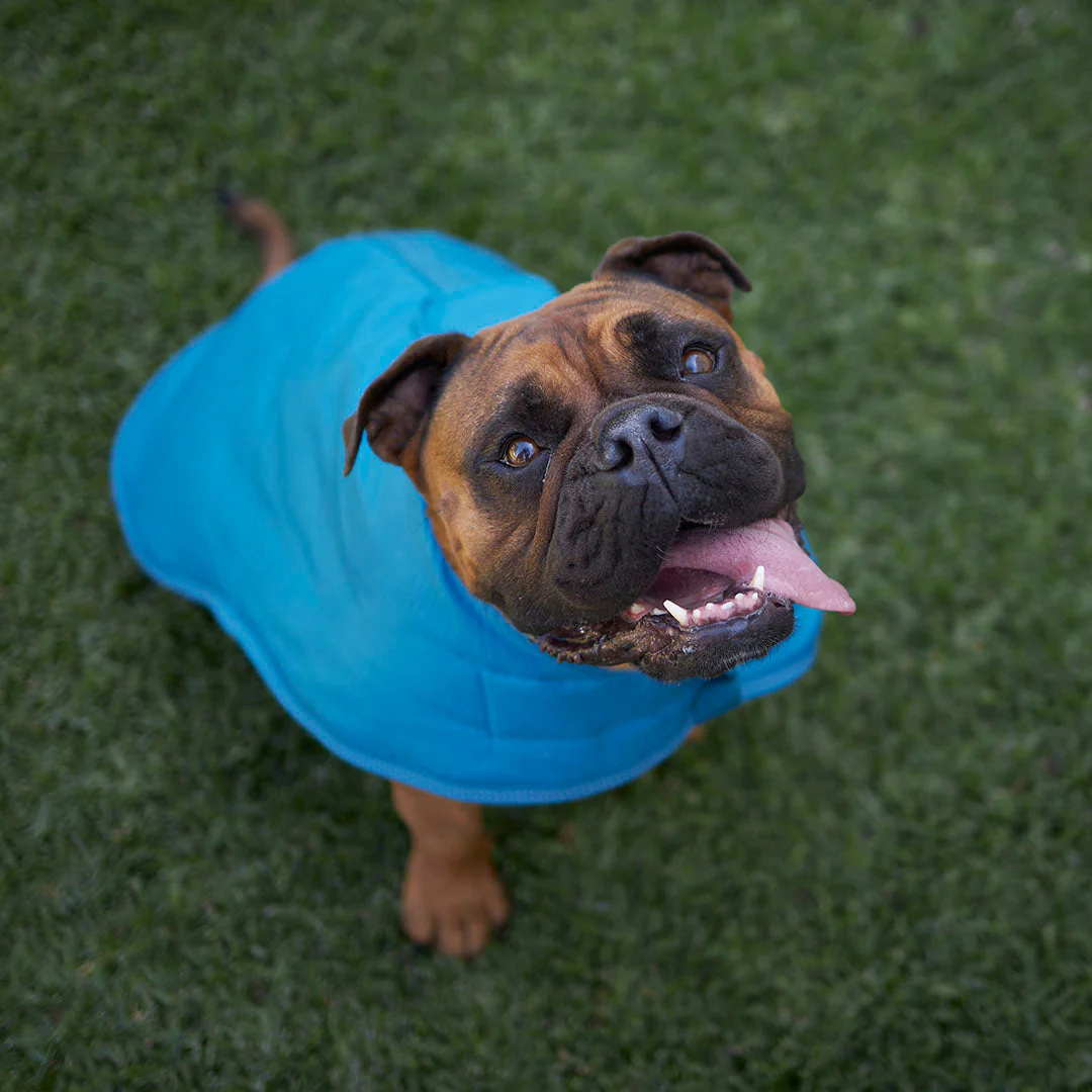 Kazoo Apparel Adventure Coat with Harness Hatch Blue Large 59.5cm - Image 4