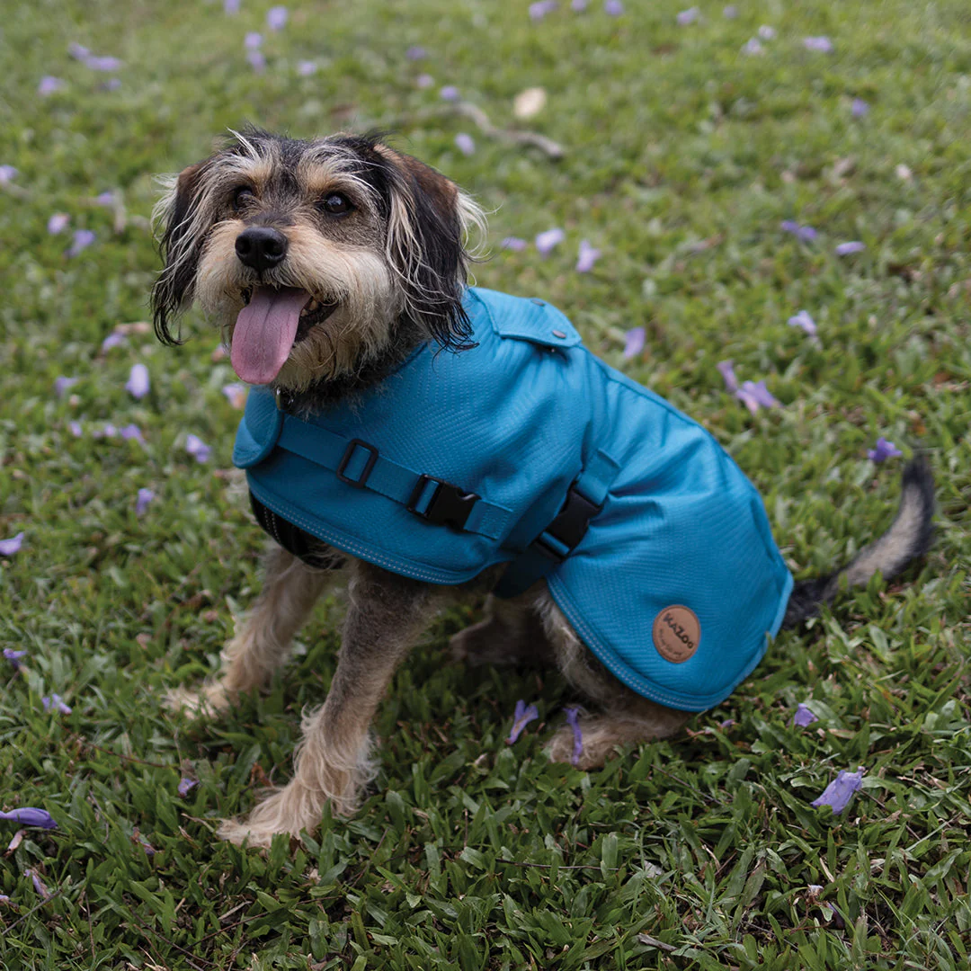 Kazoo Apparel Adventure Coat with Harness Hatch Blue Medium 46.5cm - Image 5