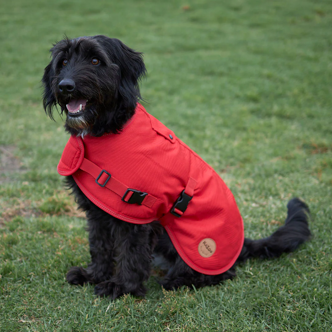Kazoo Apparel Adventure Coat with Harness Hatch Red Extra Small 33.5cm - Image 3