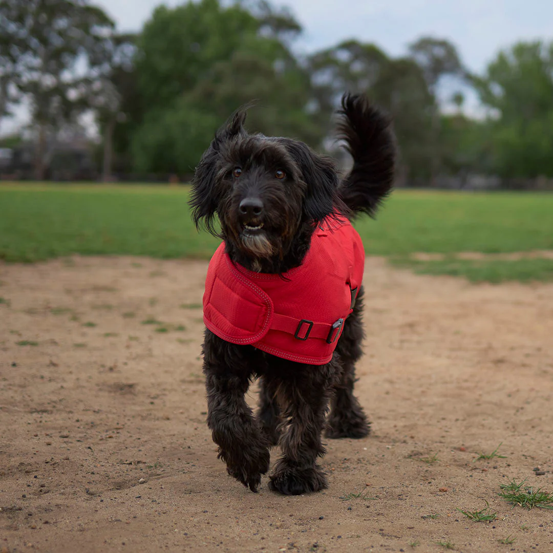 Kazoo Apparel Adventure Coat with Harness Hatch Red Extra Small 33.5cm - Image 4