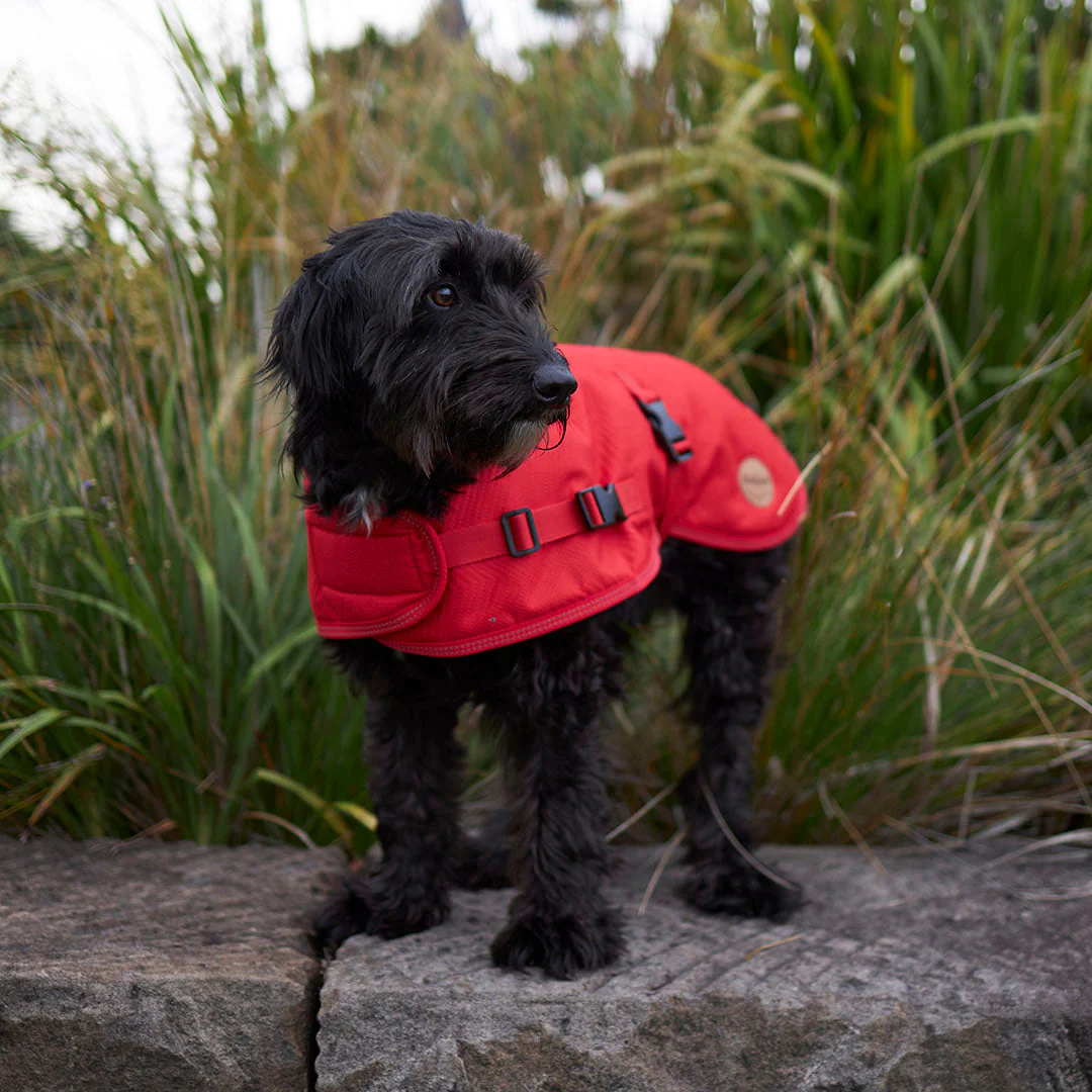 Kazoo Apparel Adventure Coat with Harness Hatch Red Extra Small 33.5cm - Image 5