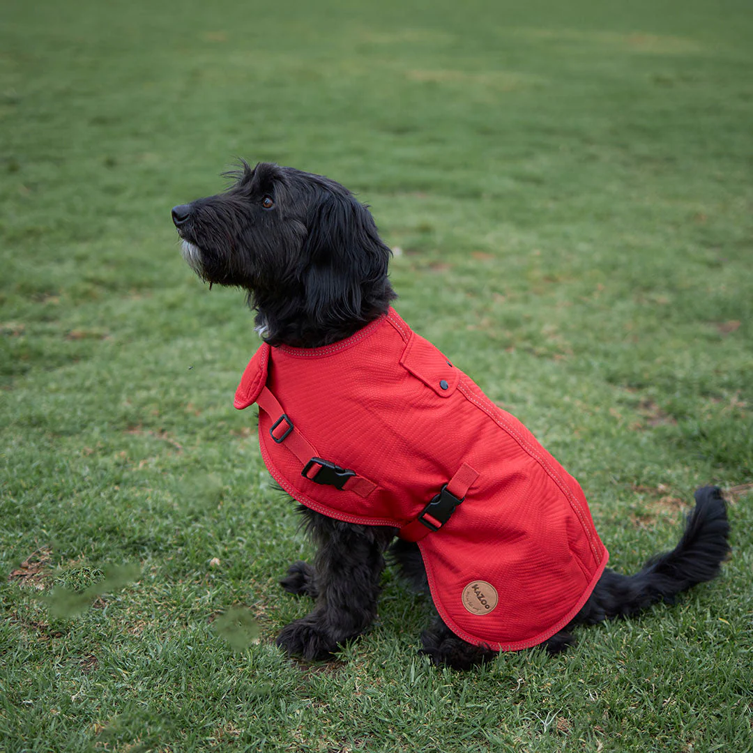 Kazoo Apparel Adventure Coat with Harness Hatch Red Medium 46.5cm - Image 2