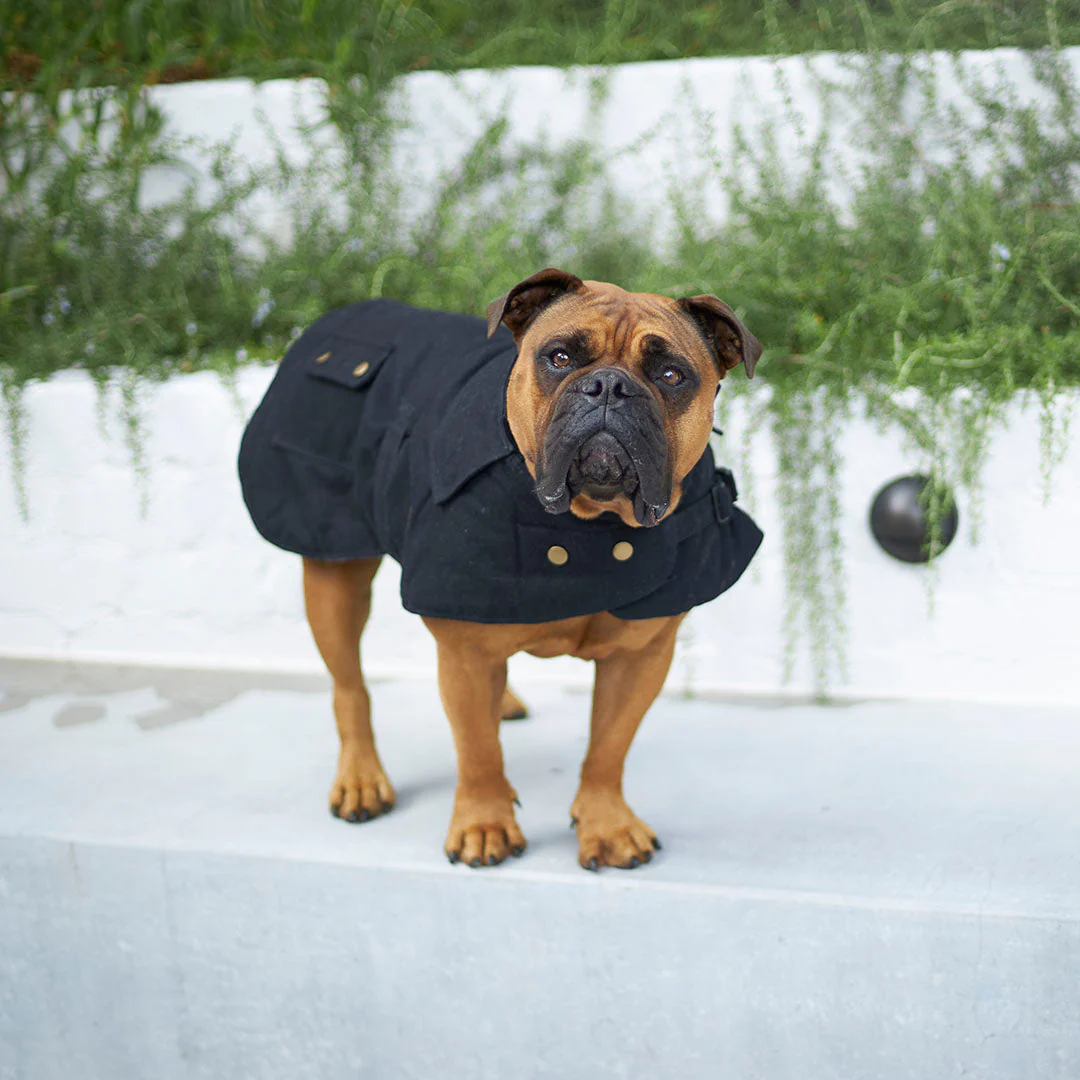 Kazoo Apparel Oilskin Dog Coat Black Extra Extra Small 27cm - Image 4