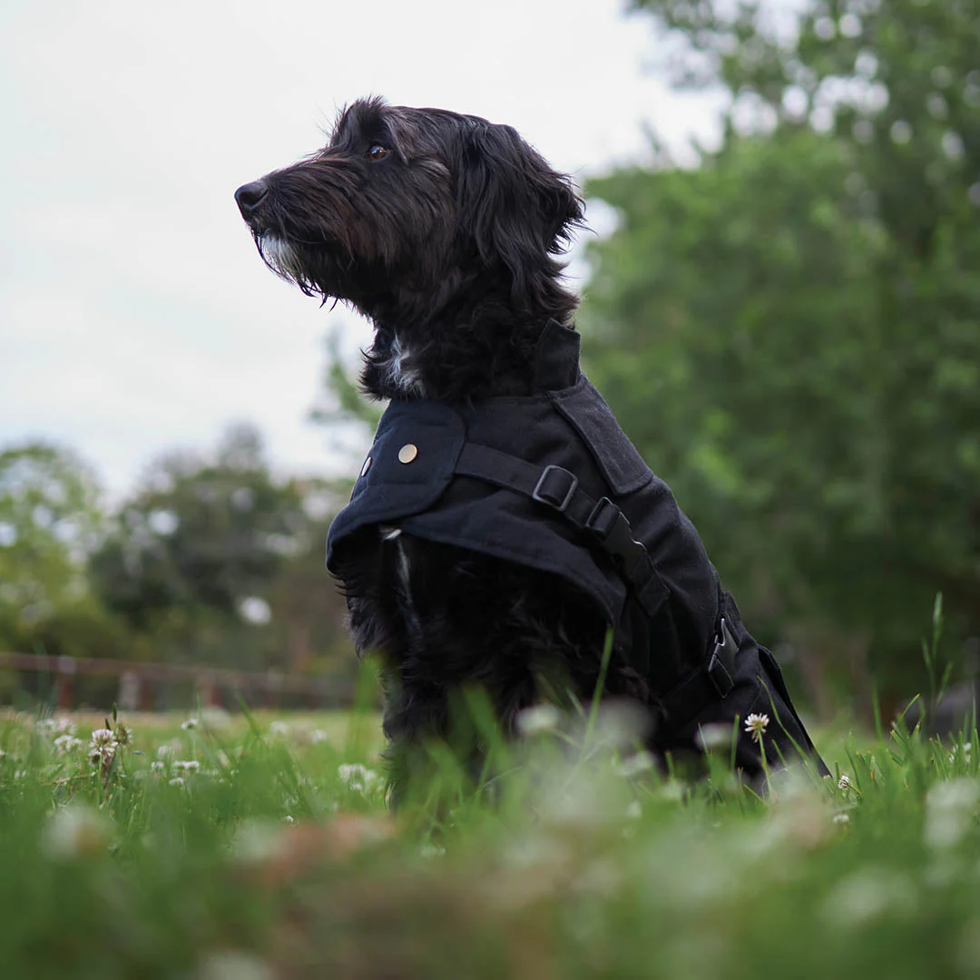Kazoo Apparel Oilskin Dog Coat Black Medium 46.5cm - Image 6