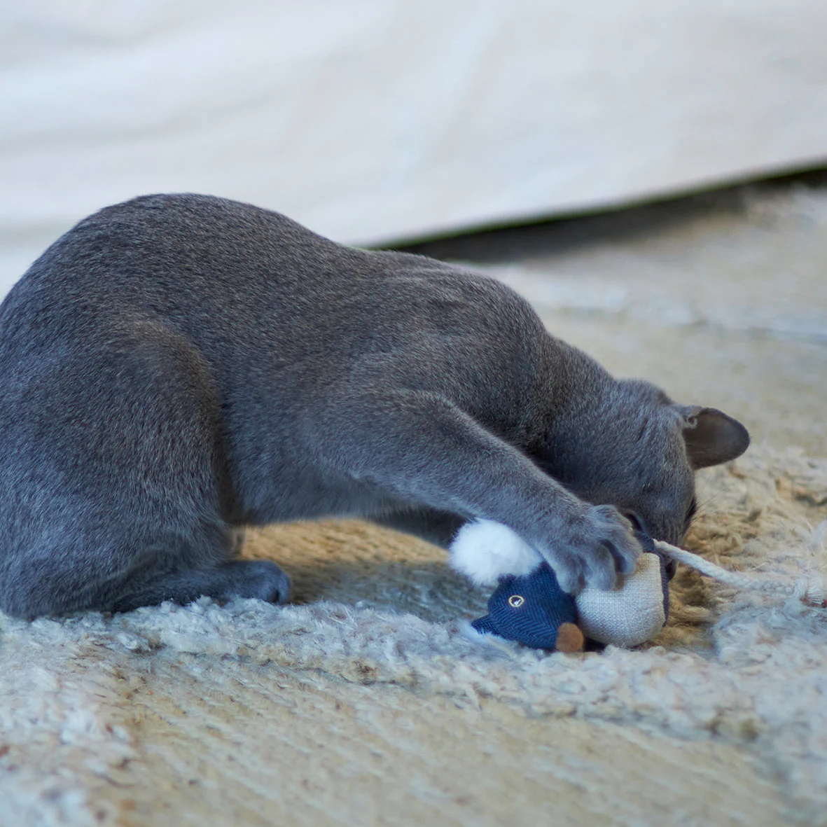 Kazoo Big Ears Mouse Cat Toy - Image 3