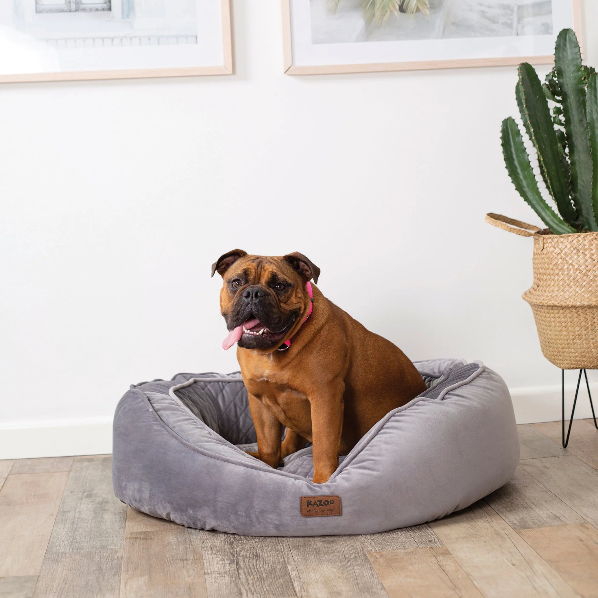 Kazoo Bilby Large Grey Dog Bed - Image 3