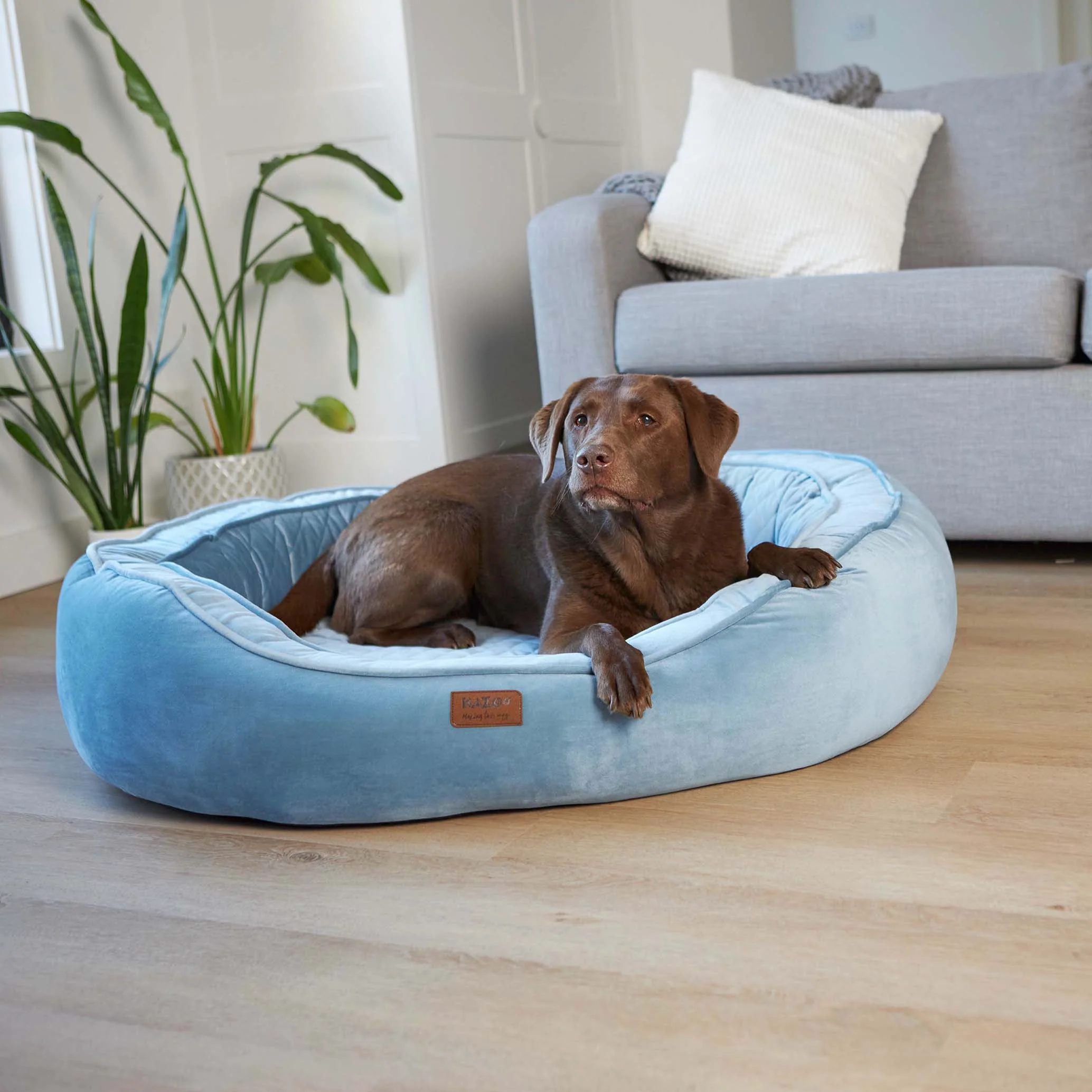 Kazoo Bilby Large Twilight Blue Dog Bed - Image 2