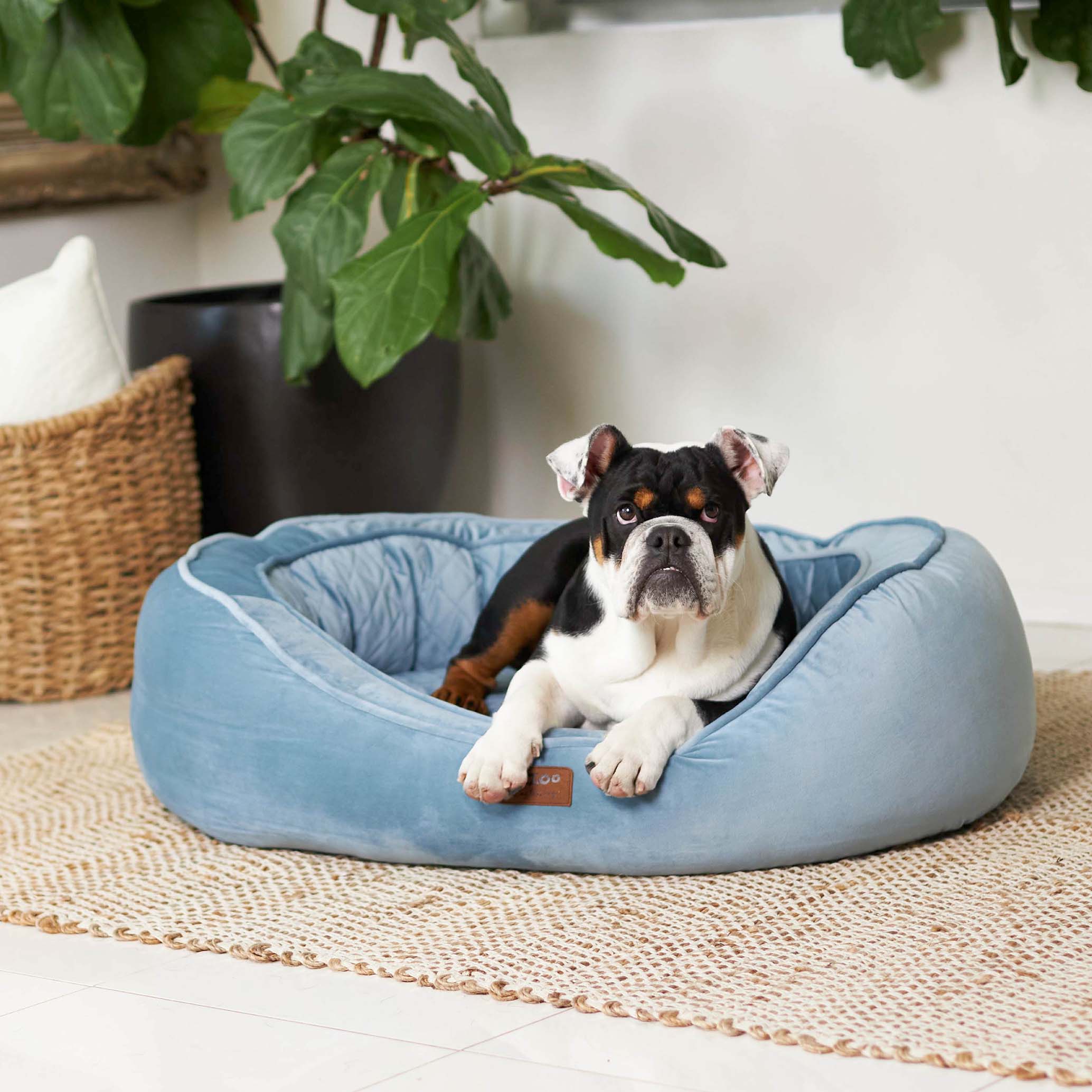 Kazoo Bilby Large Twilight Blue Dog Bed - Image 4