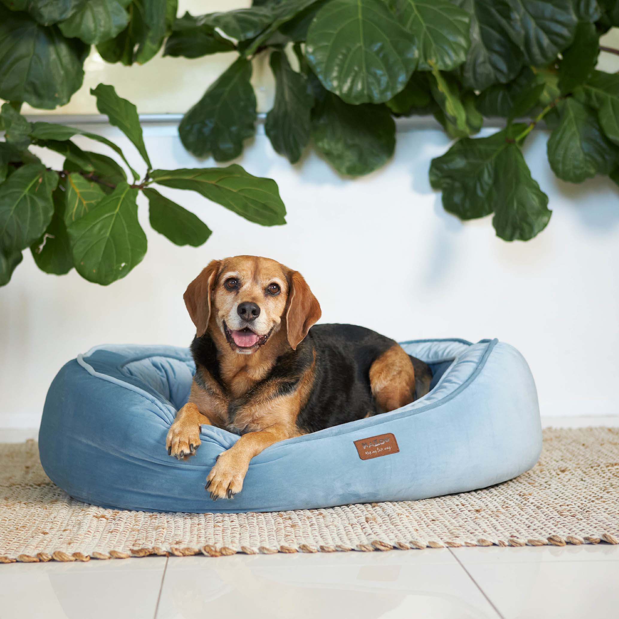 Kazoo Bilby Large Twilight Blue Dog Bed - Image 5