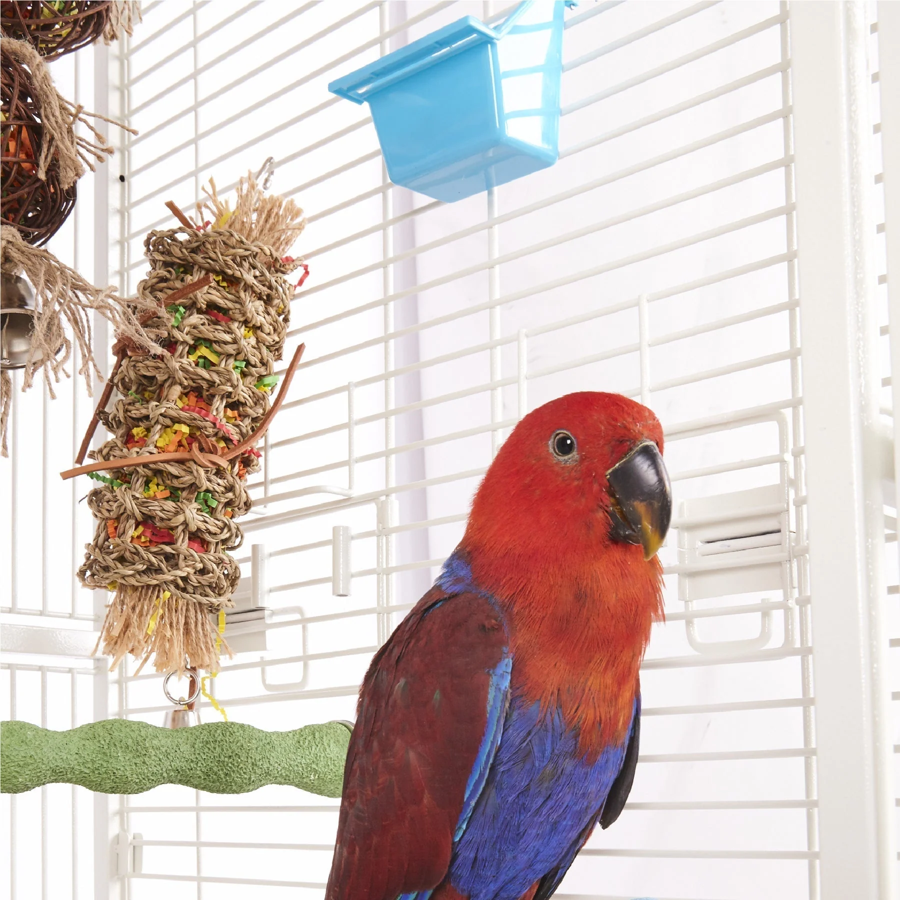 Kazoo Bird Feeder Rectangle Medium 2 Pack - Image 5