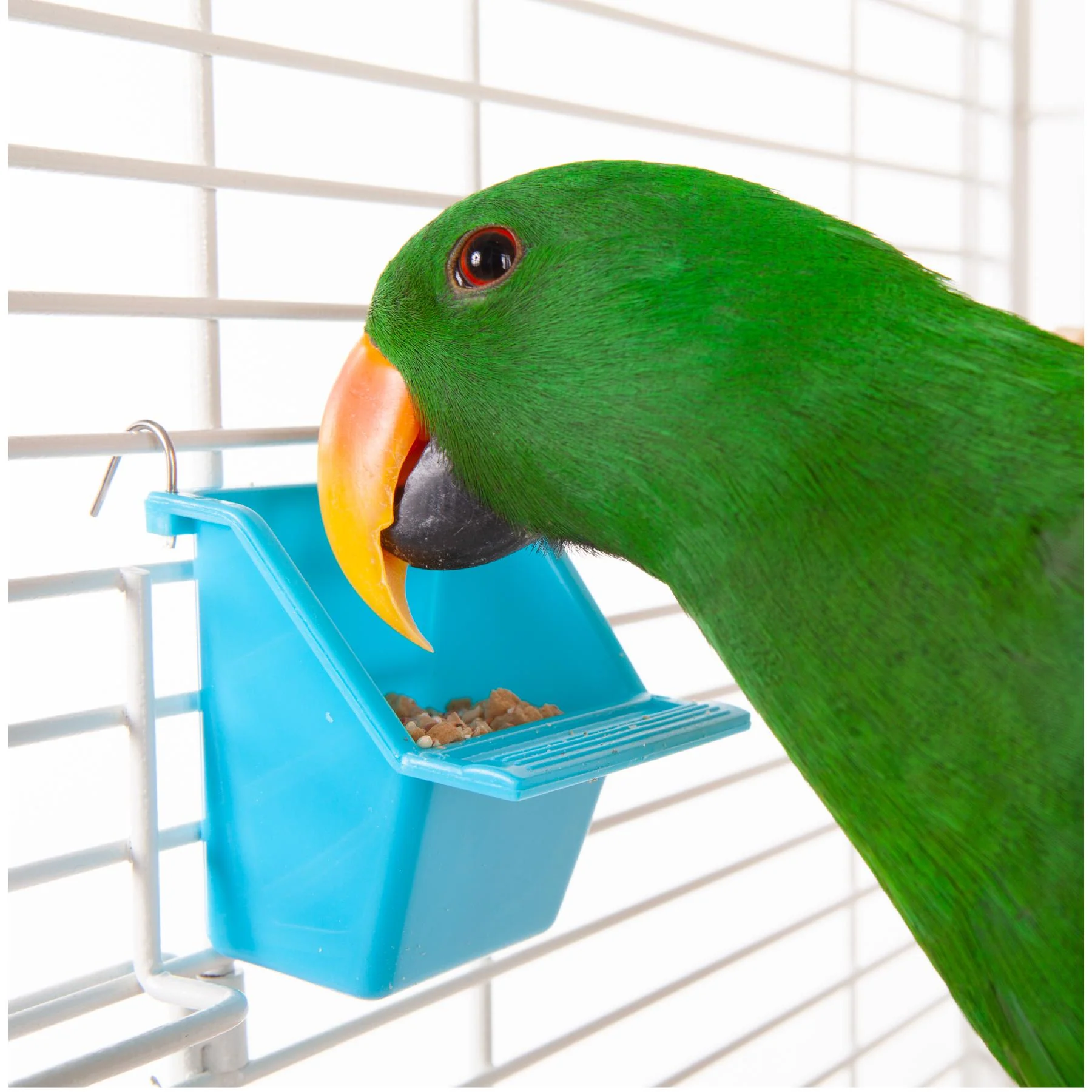 Kazoo Bird Feeder Rectangle Small 2 Pack - Image 3