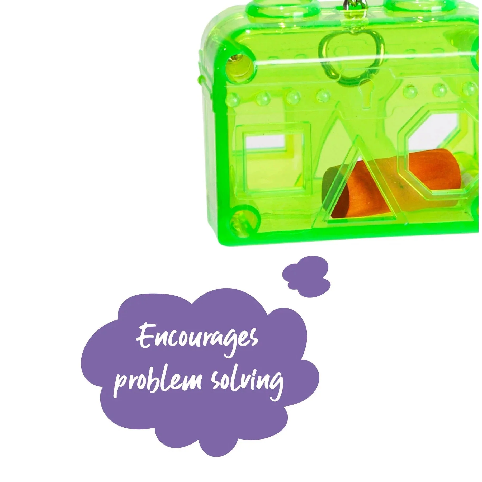 Kazoo Bird Toy Acrylic Puzzle Box Large - Image 3