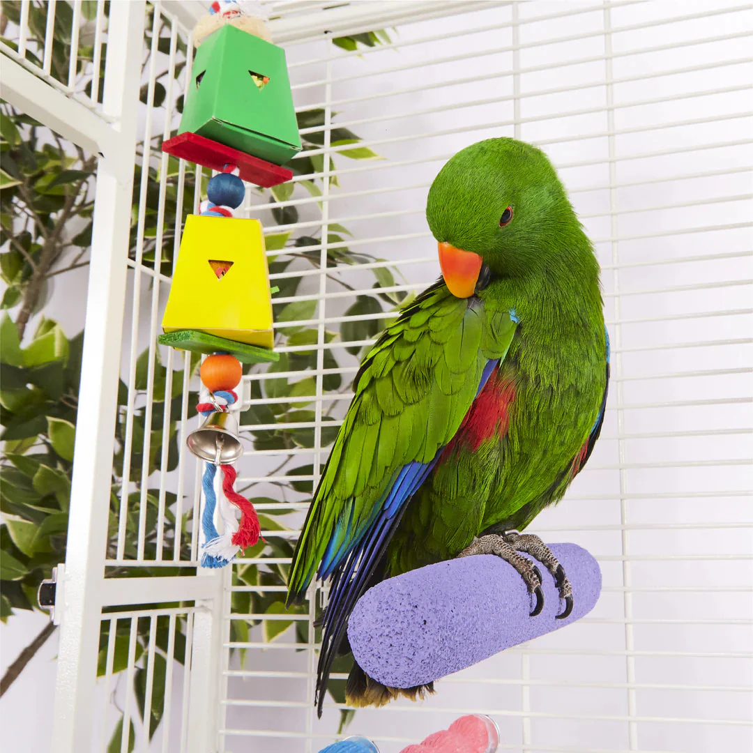 Kazoo Bird Toy Twin Ball and Cardboard Foraging Toy - Image 4