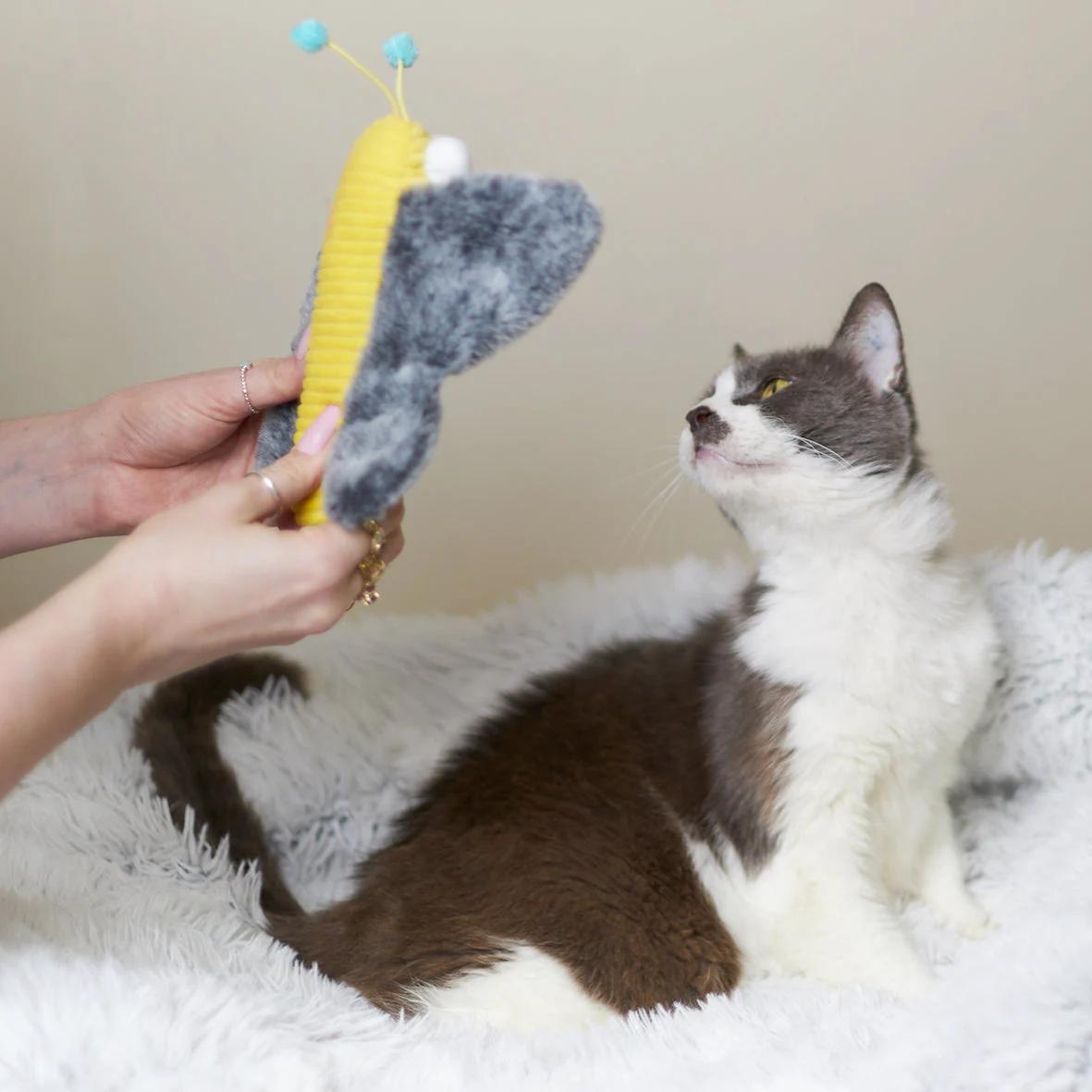Kazoo Butterfly Kicker Cat Toy - Image 2