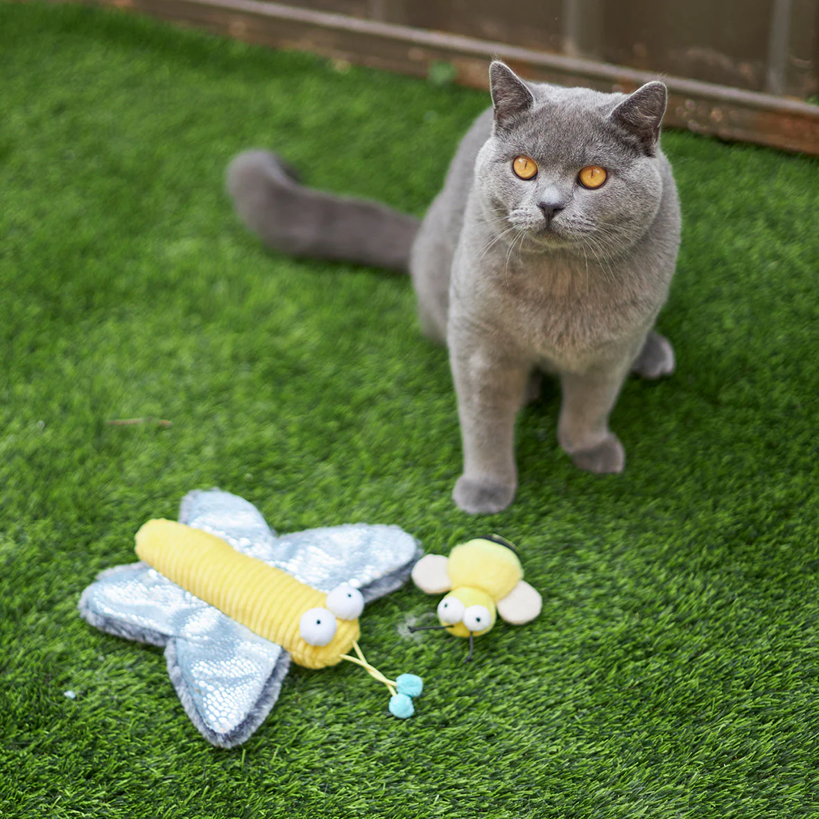 Kazoo Butterfly Kicker Cat Toy - Image 5