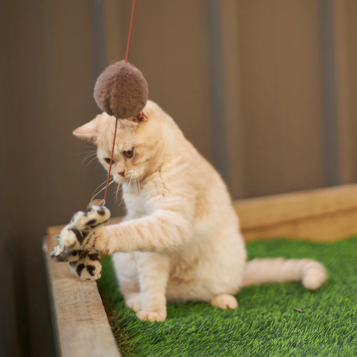 Kazoo Catnip Butterfly Wand Cat Toy - Image 6