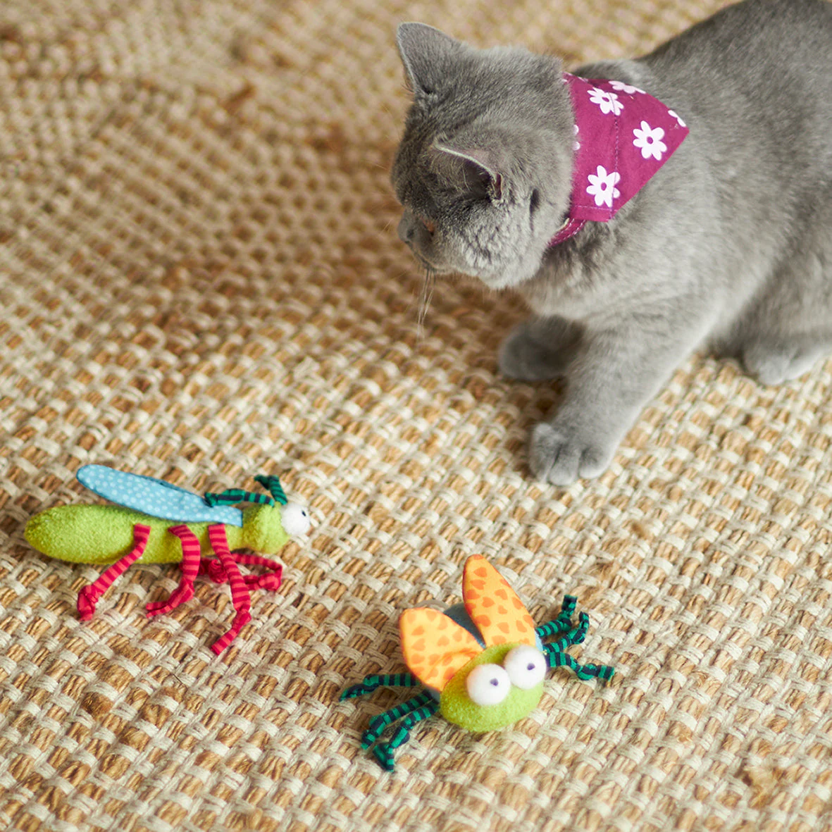 Kazoo Buzzing Bug Cat Toy - Image 5
