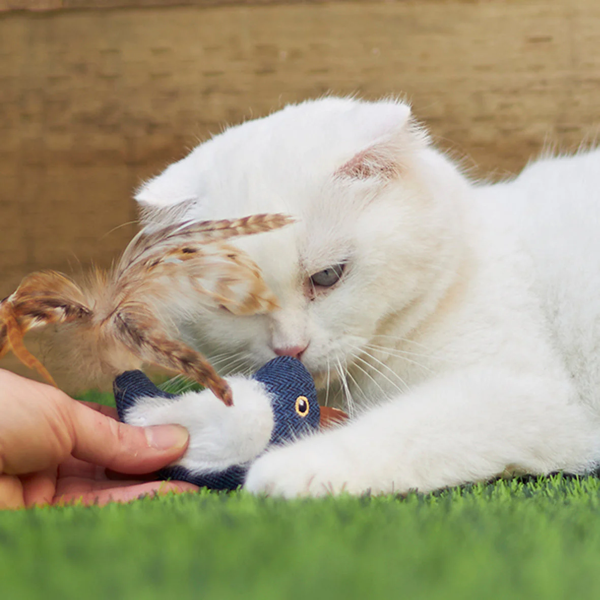 Kazoo Chirpy Bird Cat Toy - Image 3